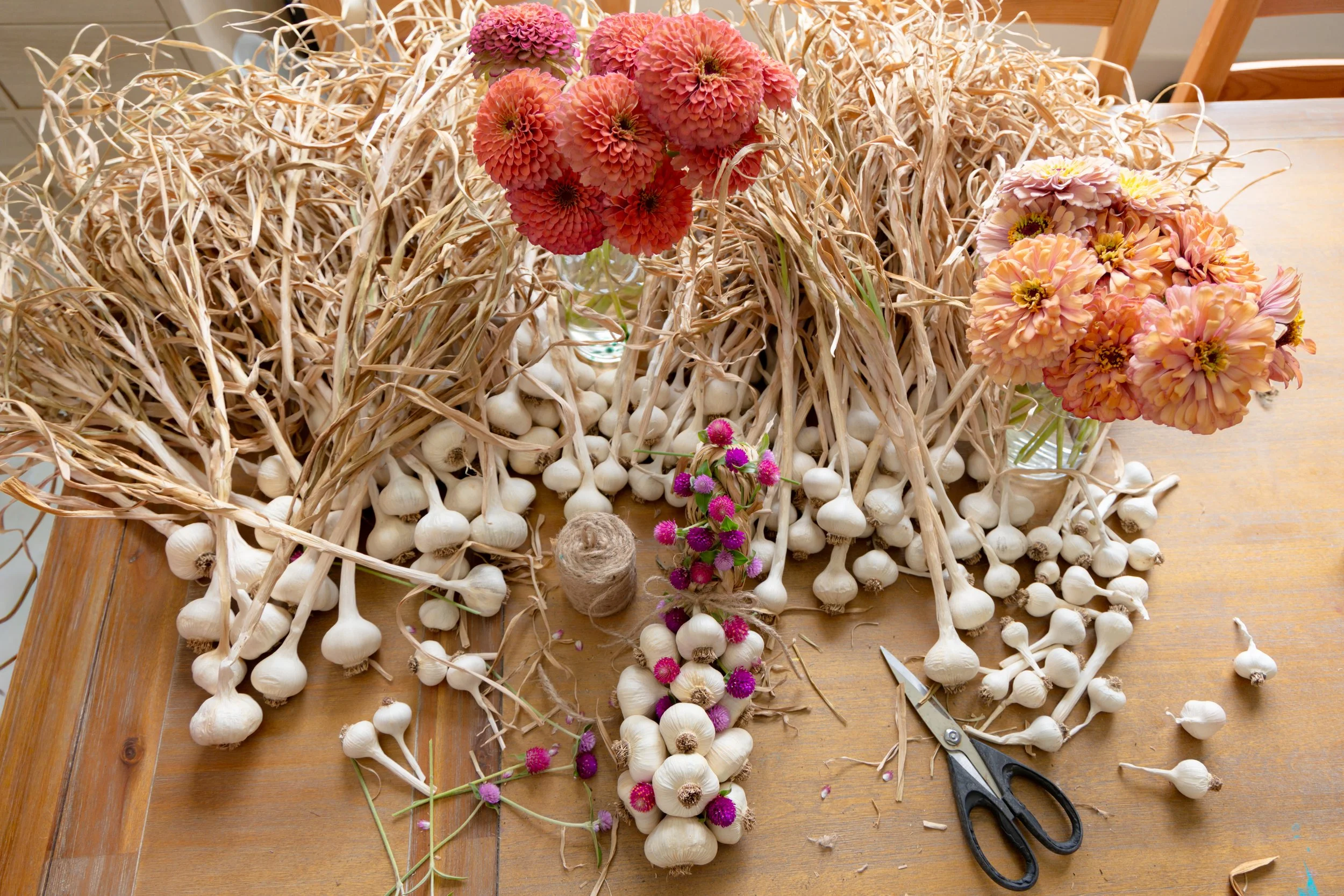 6.24.26 - Garlic and Flowers-13-9.jpg