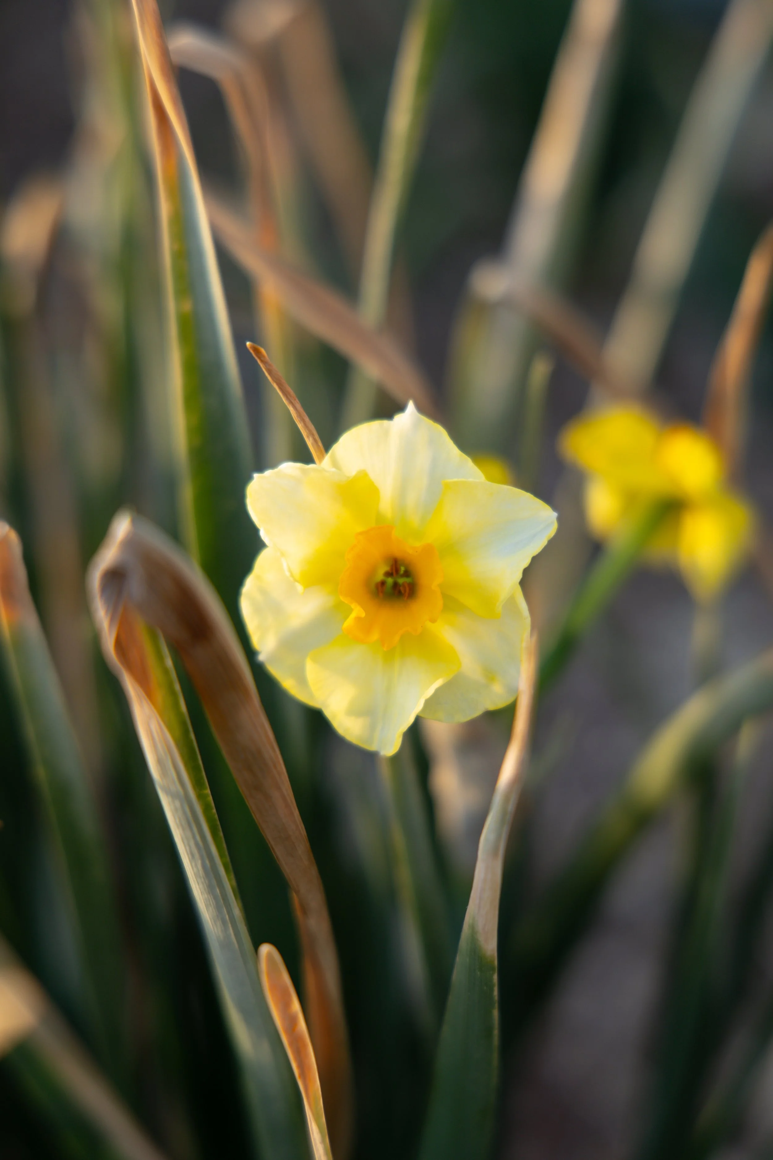 Winter-Spring 2026-6.jpg