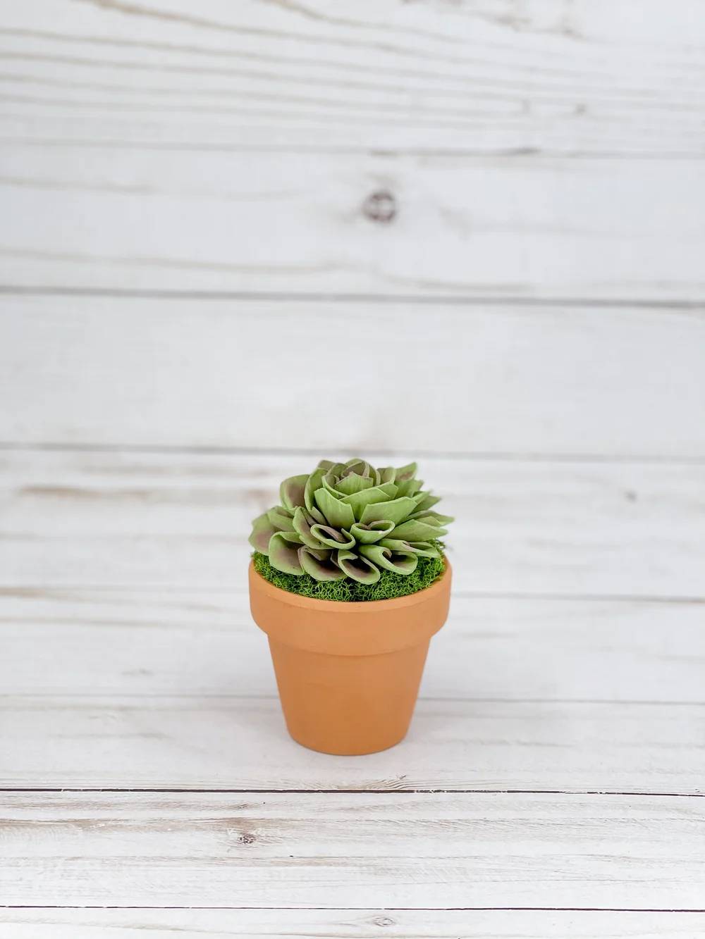 largest planter pot Slim Extra Large Planter By Plantatorem Matte Black / Set of 3