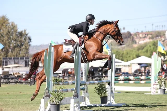 A person in equestrian gear jumping a horse over a hurdle in an outdoor show jumping competition.