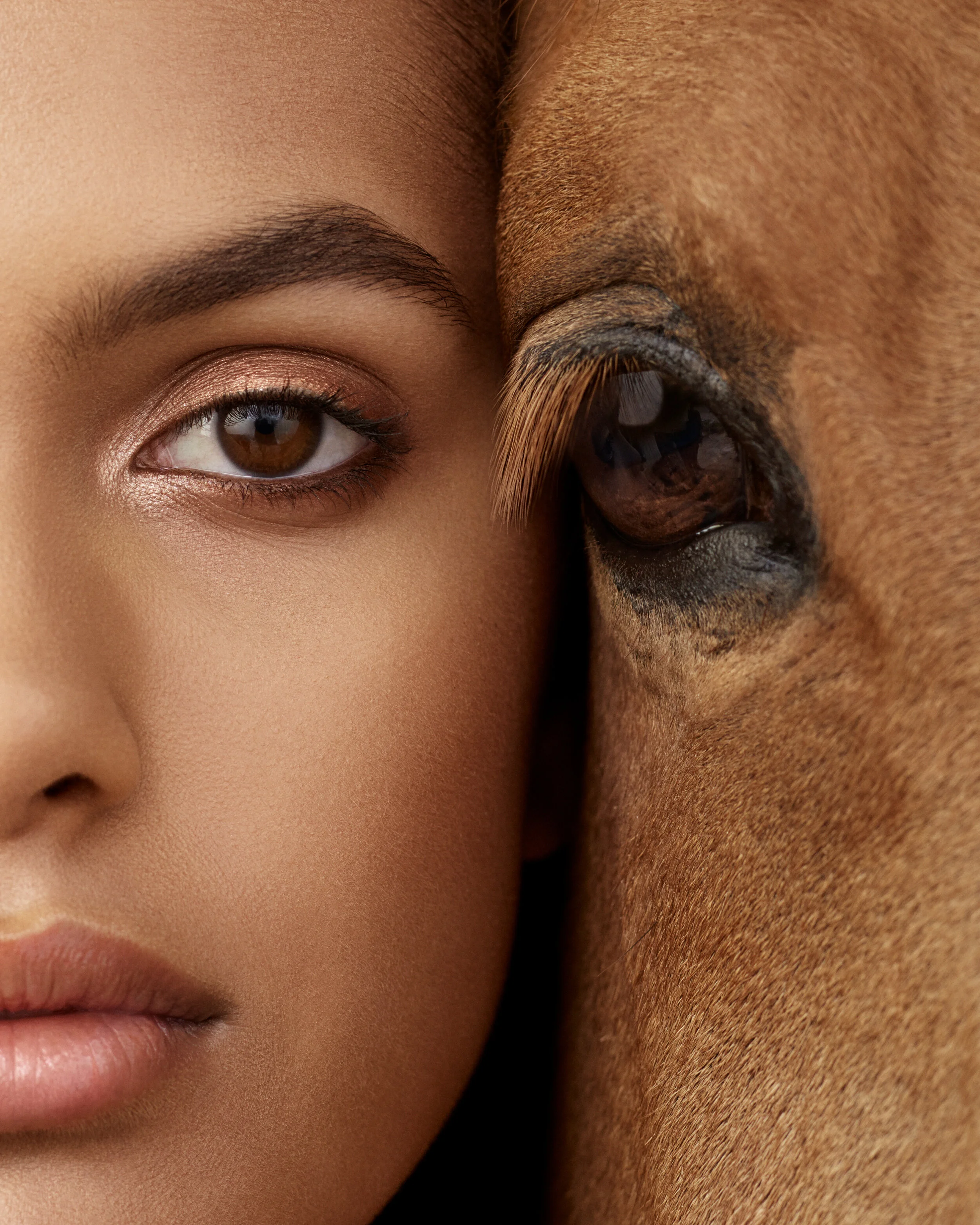 Hourglass 2019-CFLB-Model1.jpg