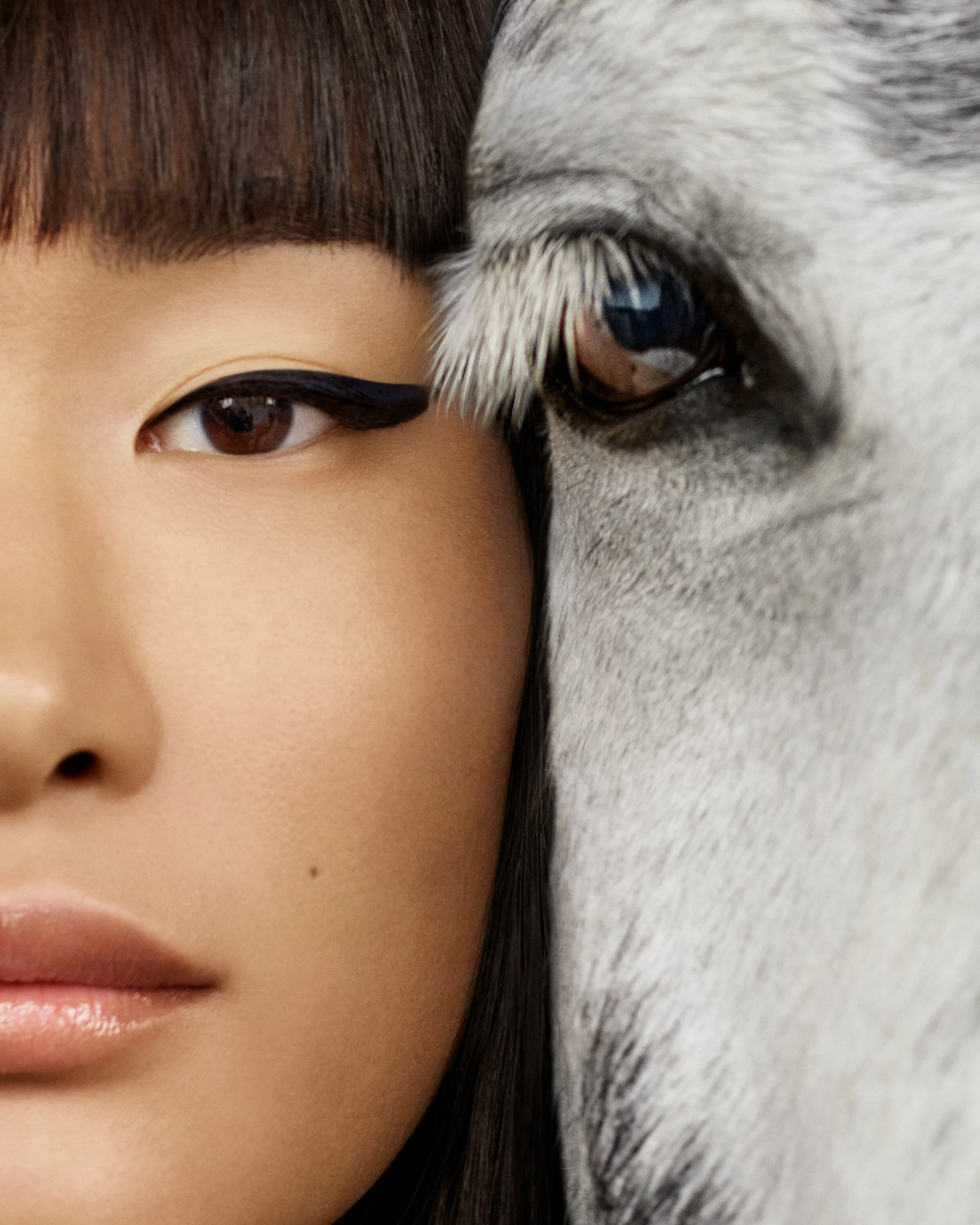 Hourglass 2019-CFLB-Model3.jpg