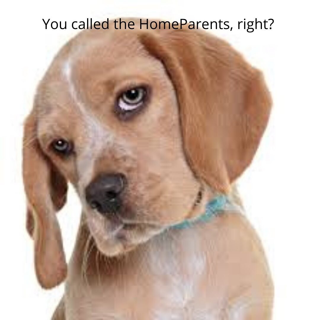 Good question. #thehomeparents