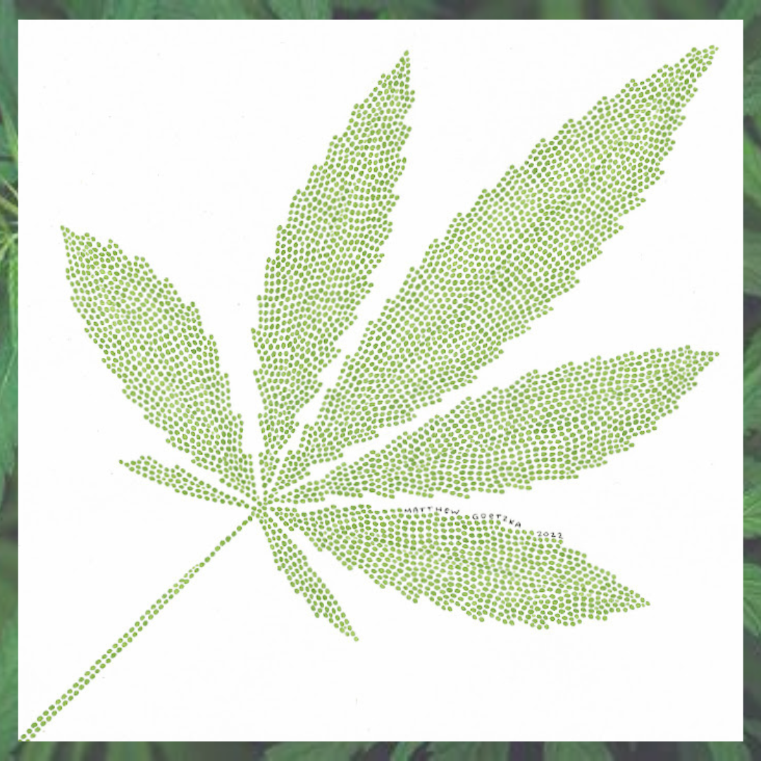 Cannabis Leaf ~ Original