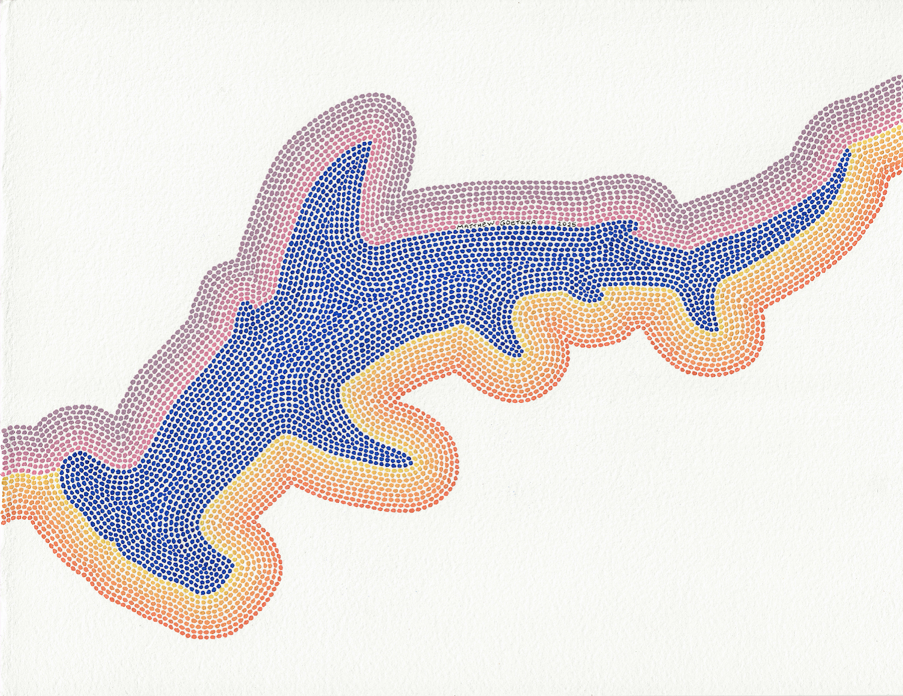 Scalloped Hammerhead