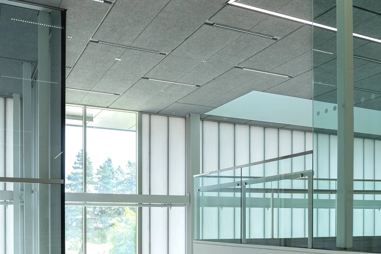 Campus_12.jpg