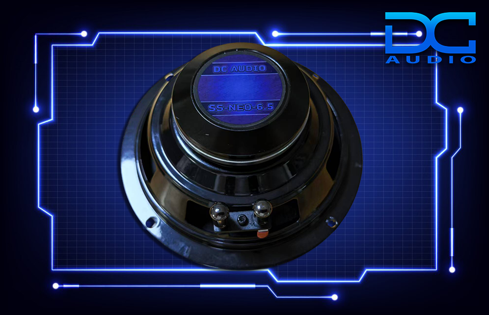 ssneo2.png