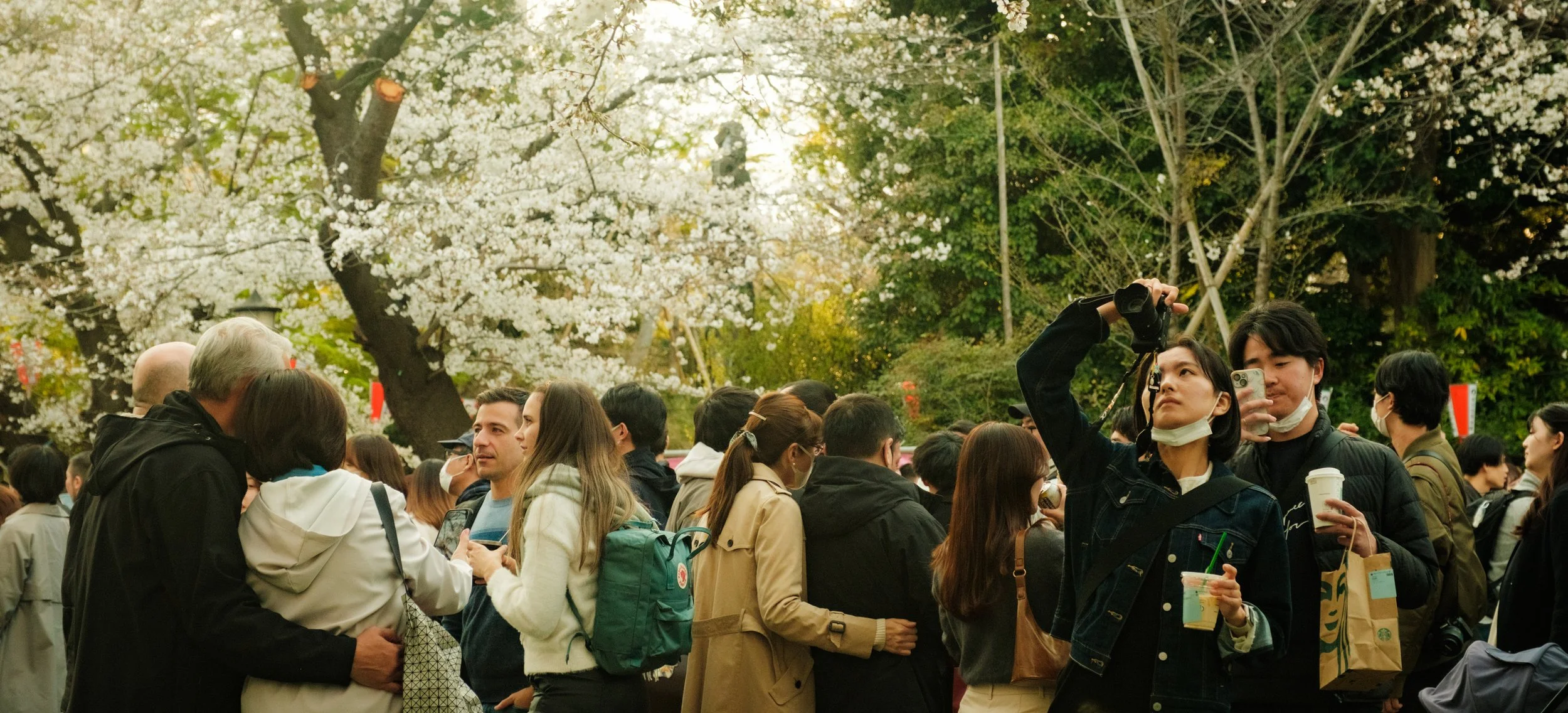 Hanami-2077.jpg