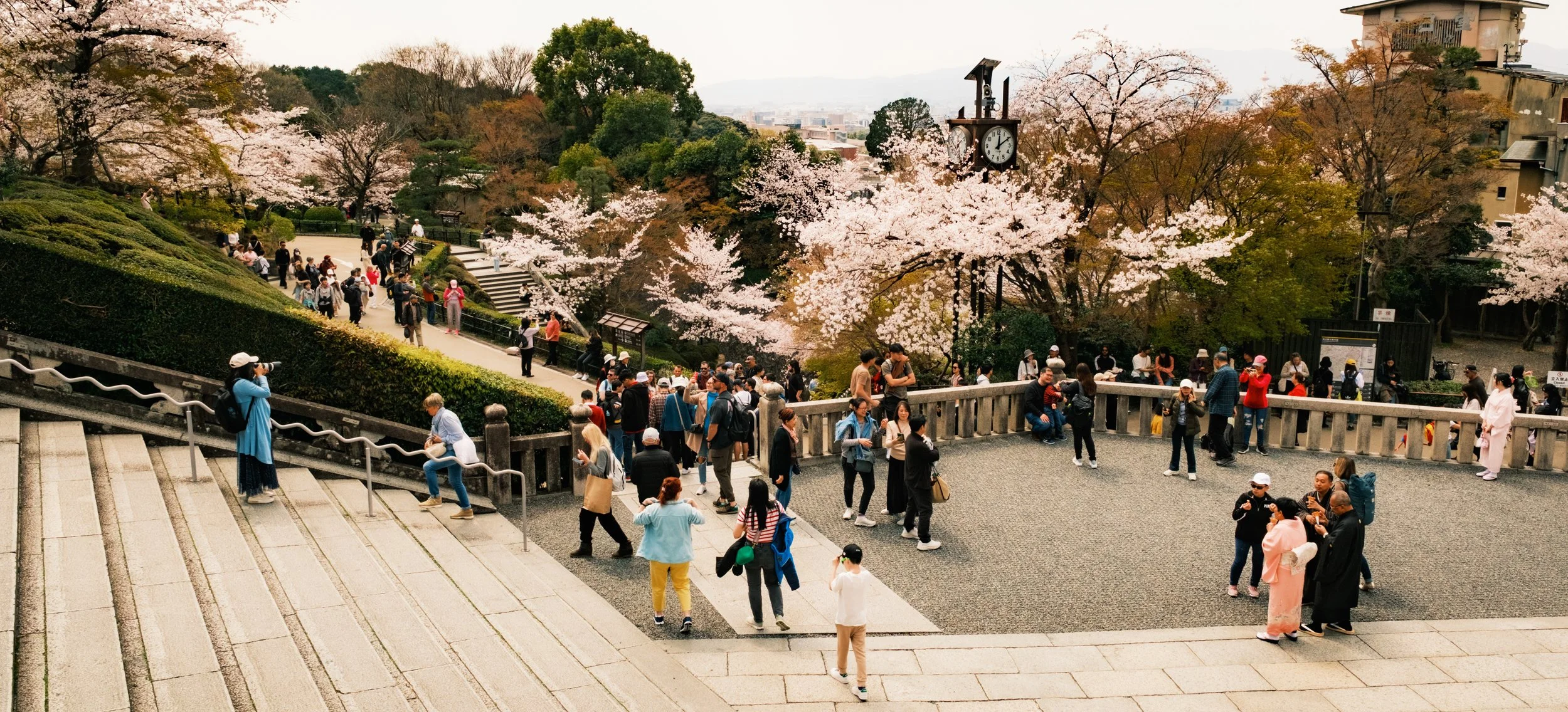 Hanami-6928.jpg