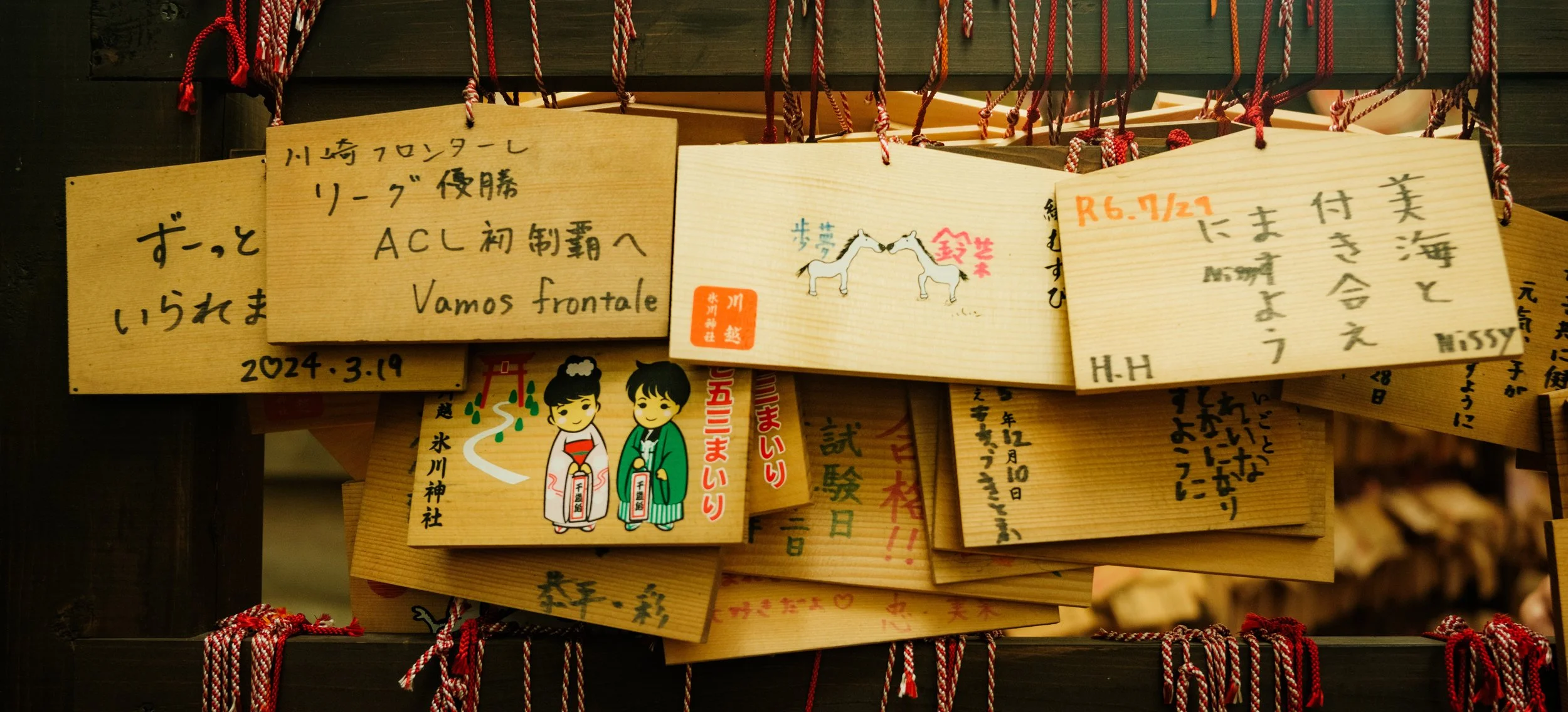 Hanami-1761.jpg