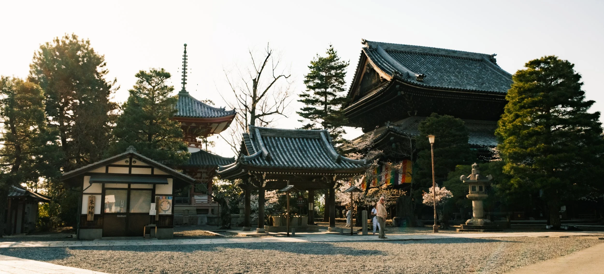 Hanami-7304.jpg