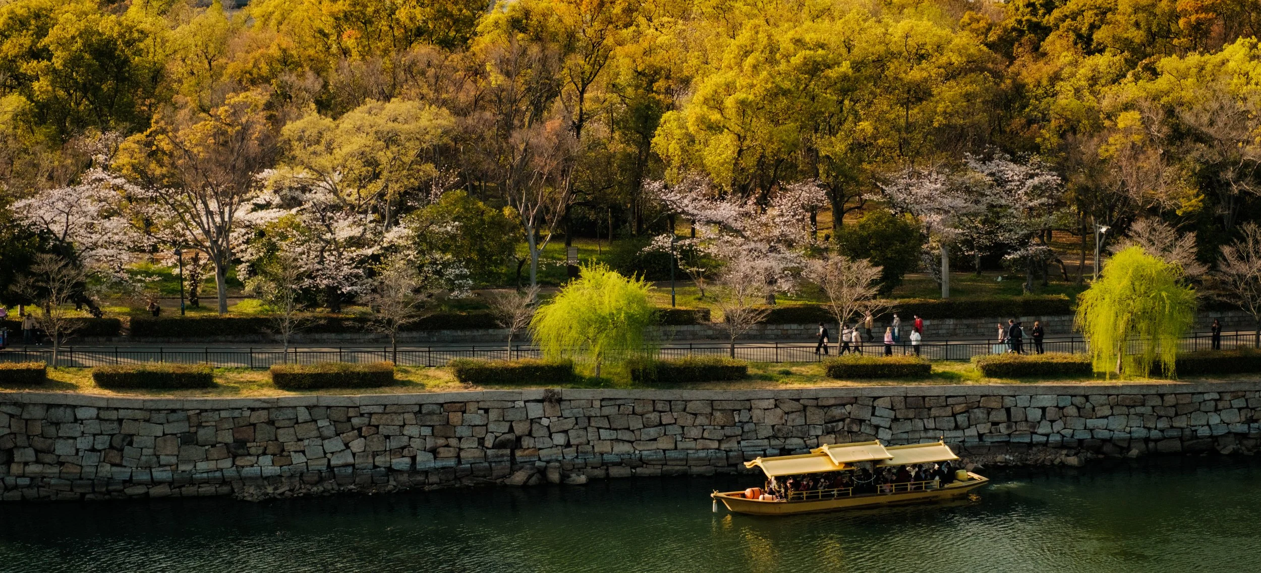 Hanami-5058.jpg