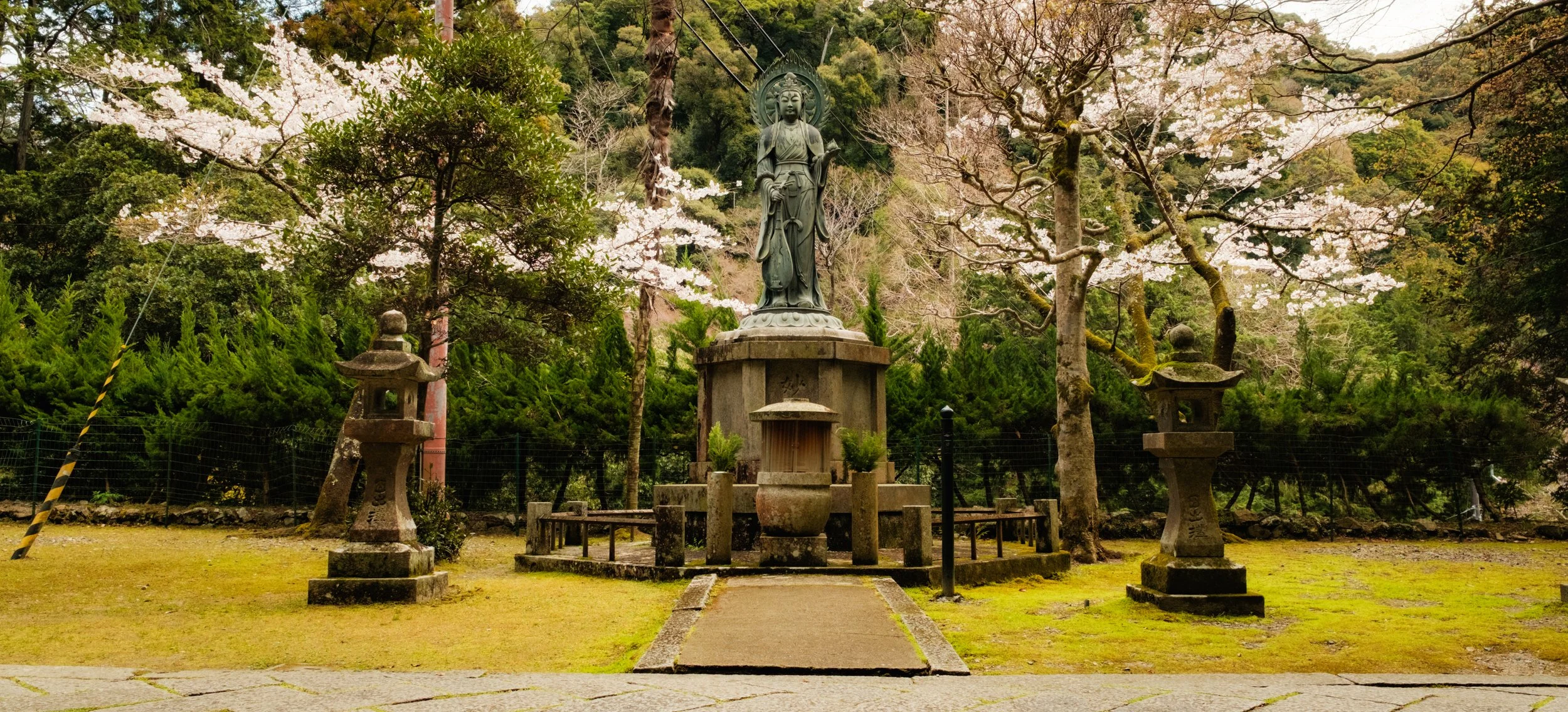Hanami-5905.jpg