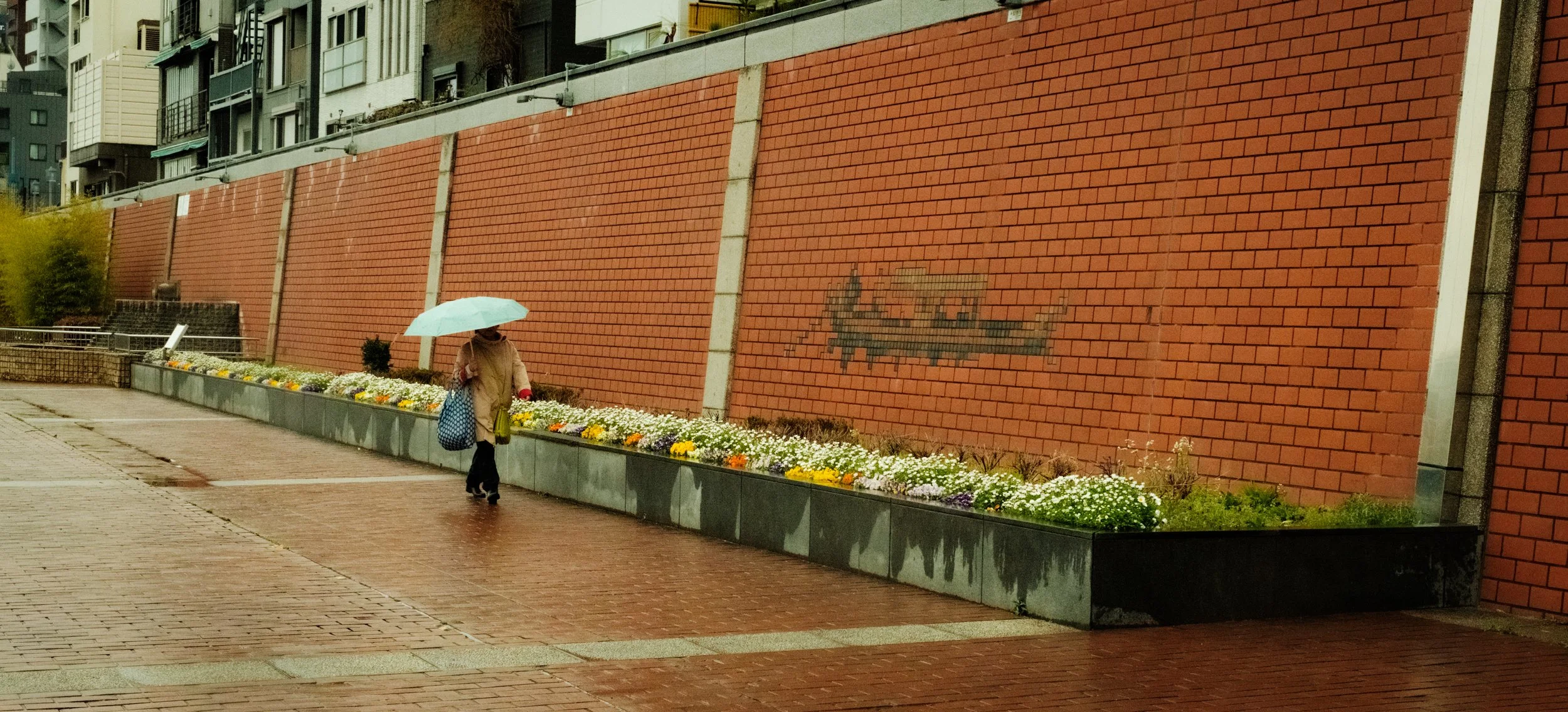 Hanami-1018.jpg