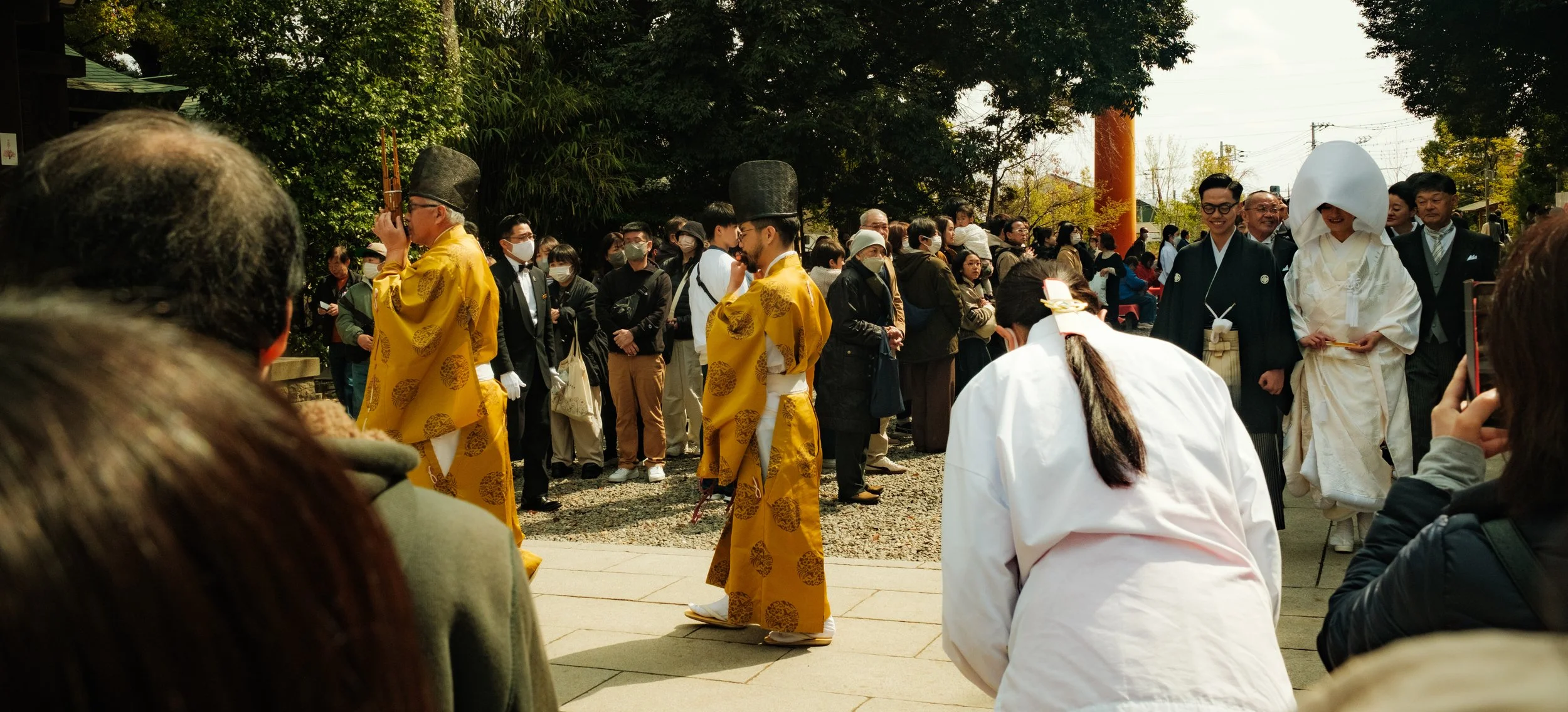 Hanami-1733.jpg