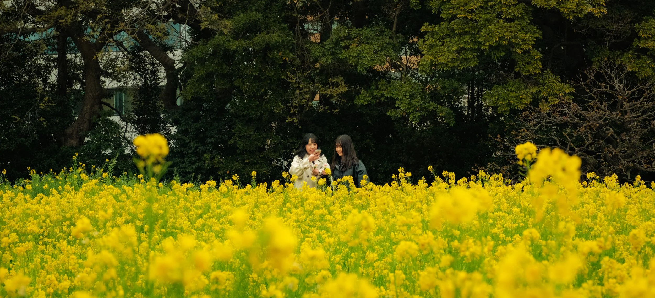 Hanami-2840.jpg