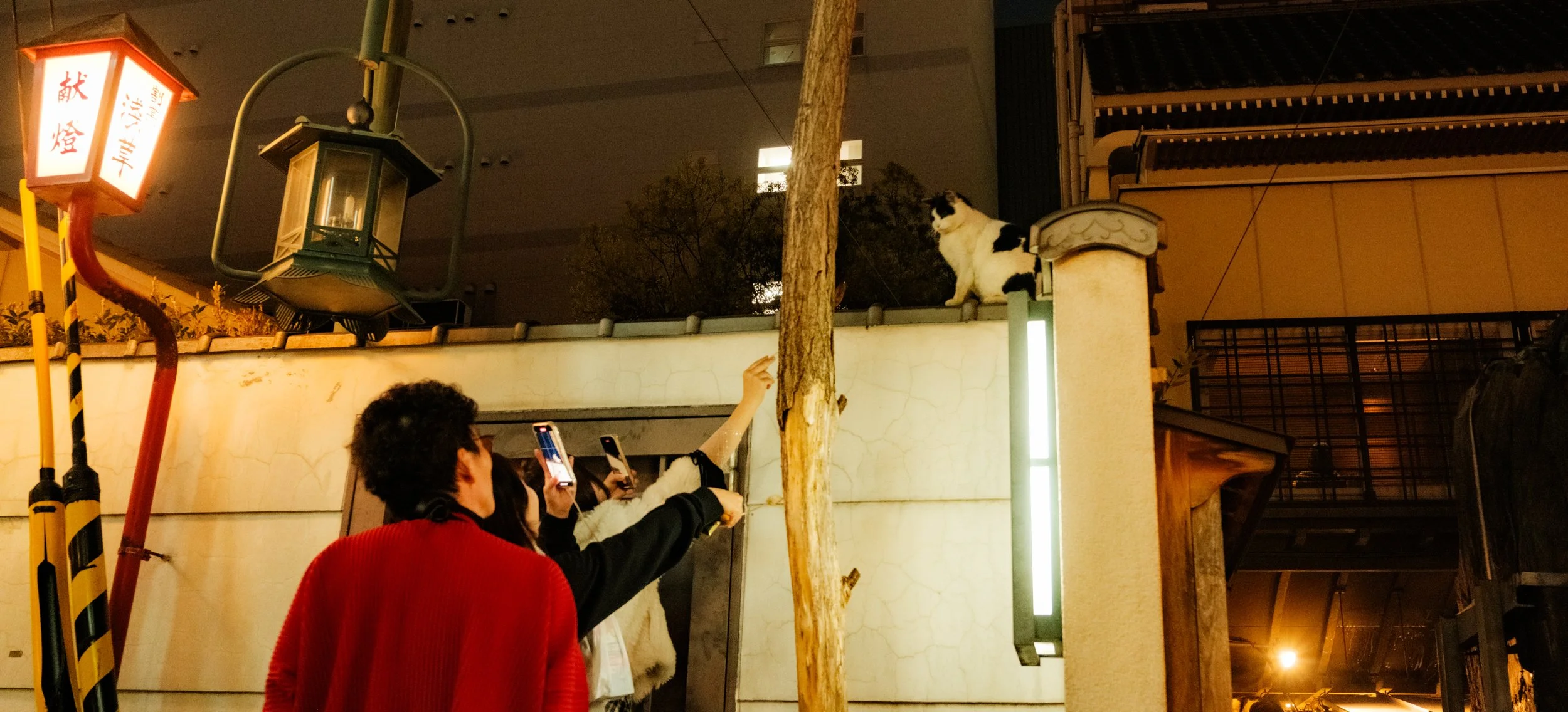 Hanami-5550.jpg