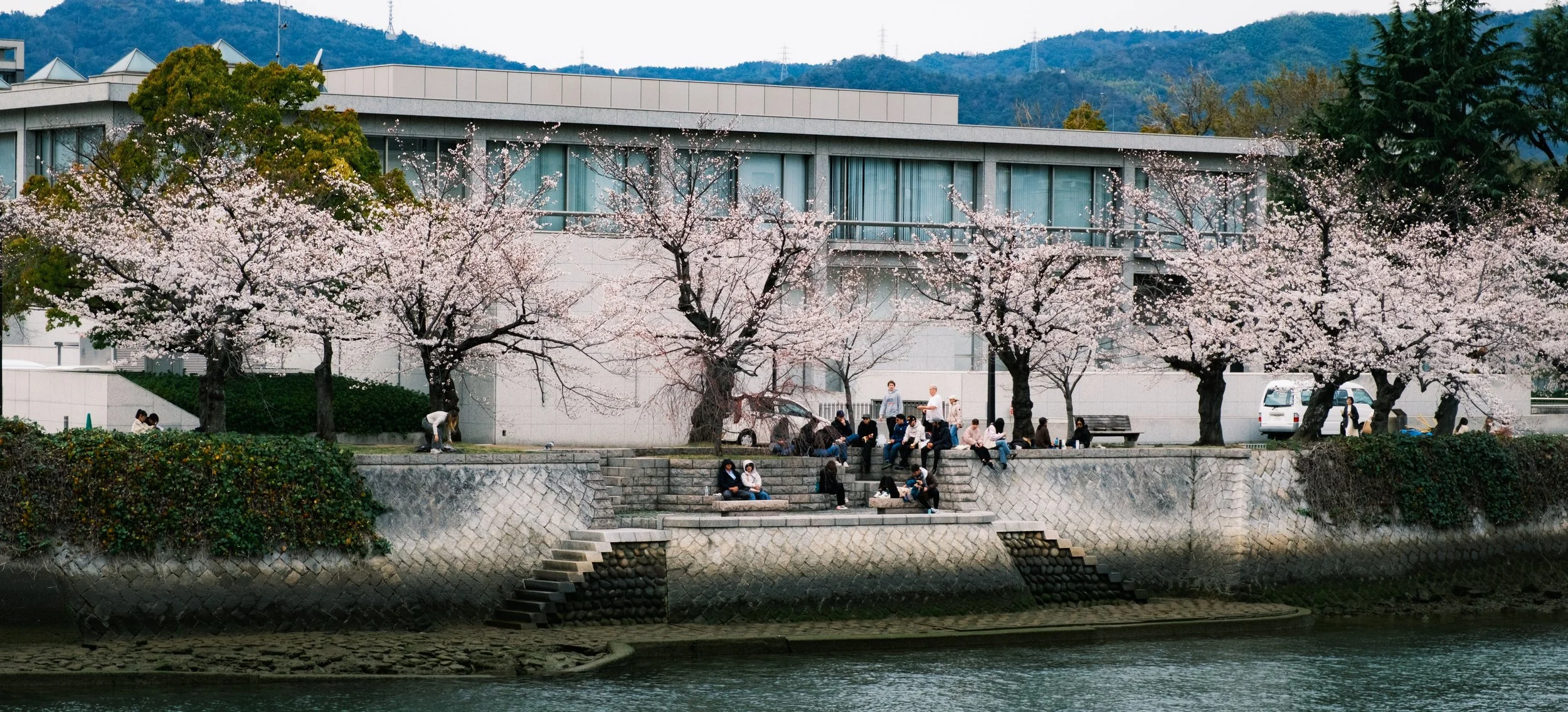 Hanami-3027.jpg