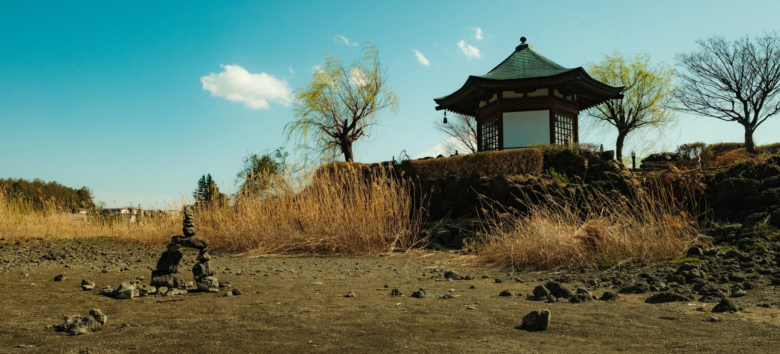 Hanami-10880.jpg