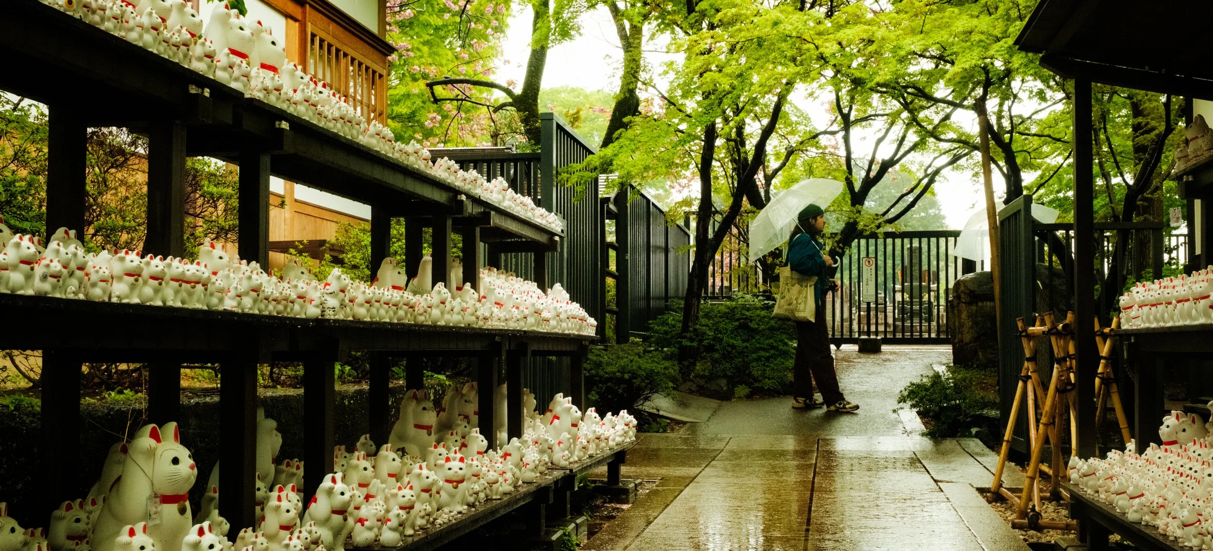 Hanami-10469.jpg