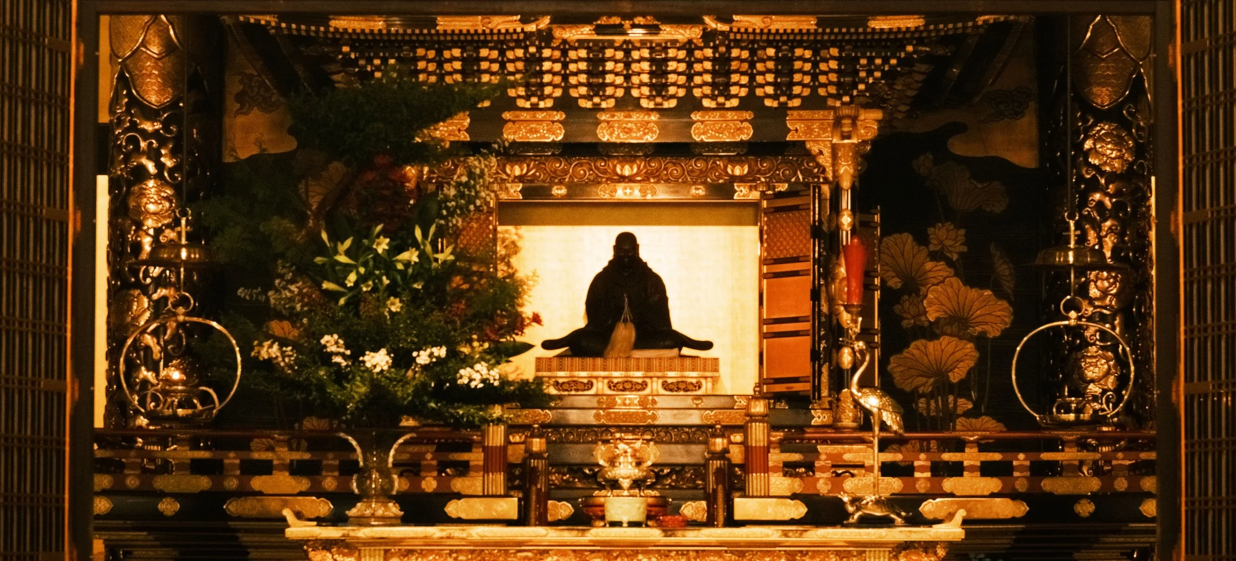 Sakura (4519).jpg