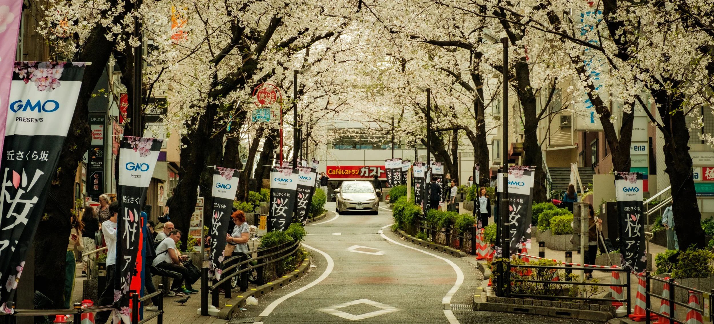 Hanami-486.jpg