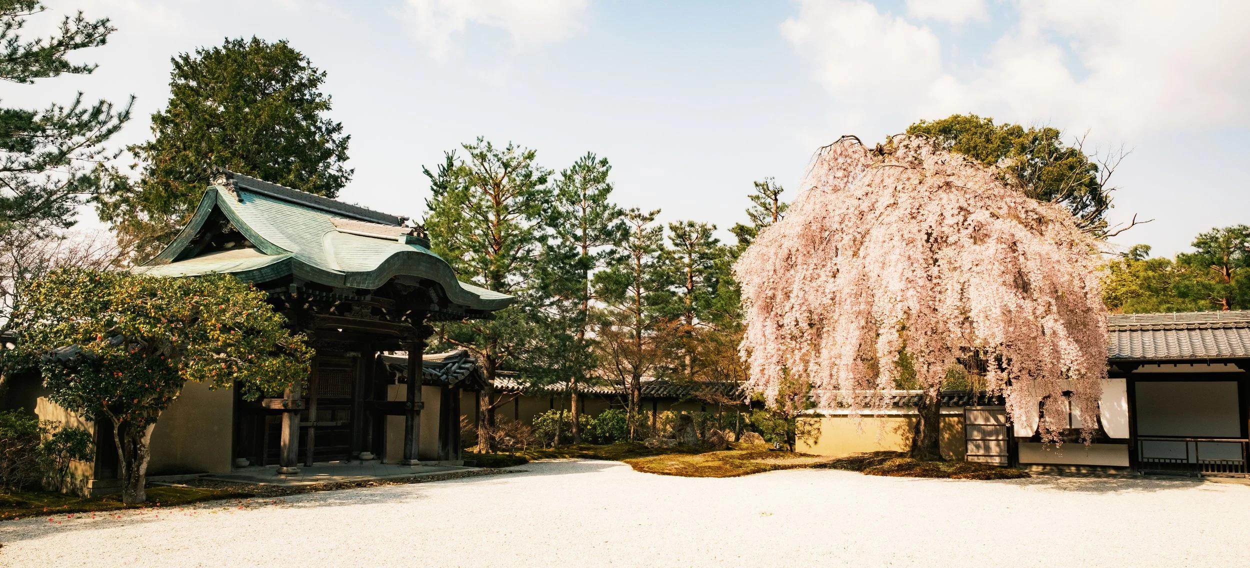 Hanami-6740.jpg