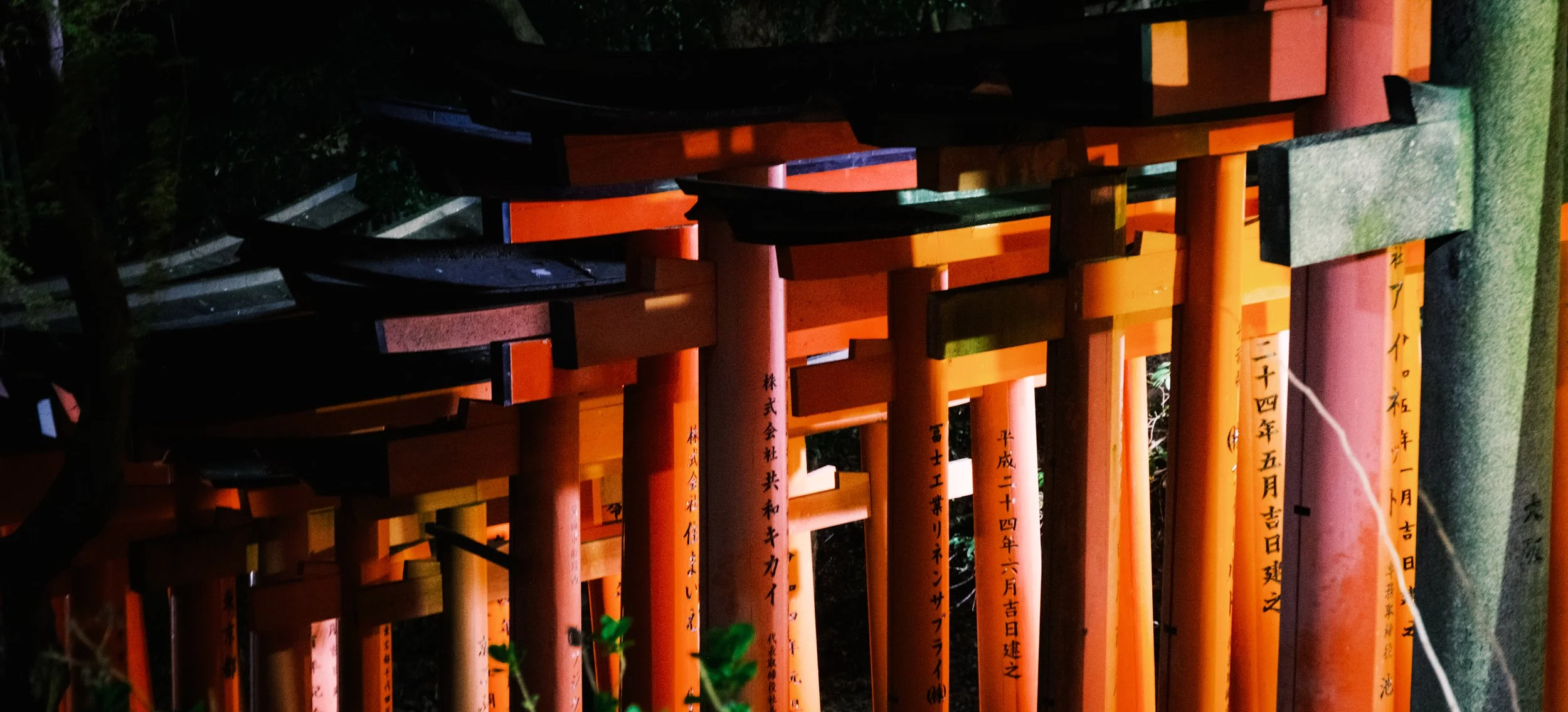 Hanami-8107.jpg