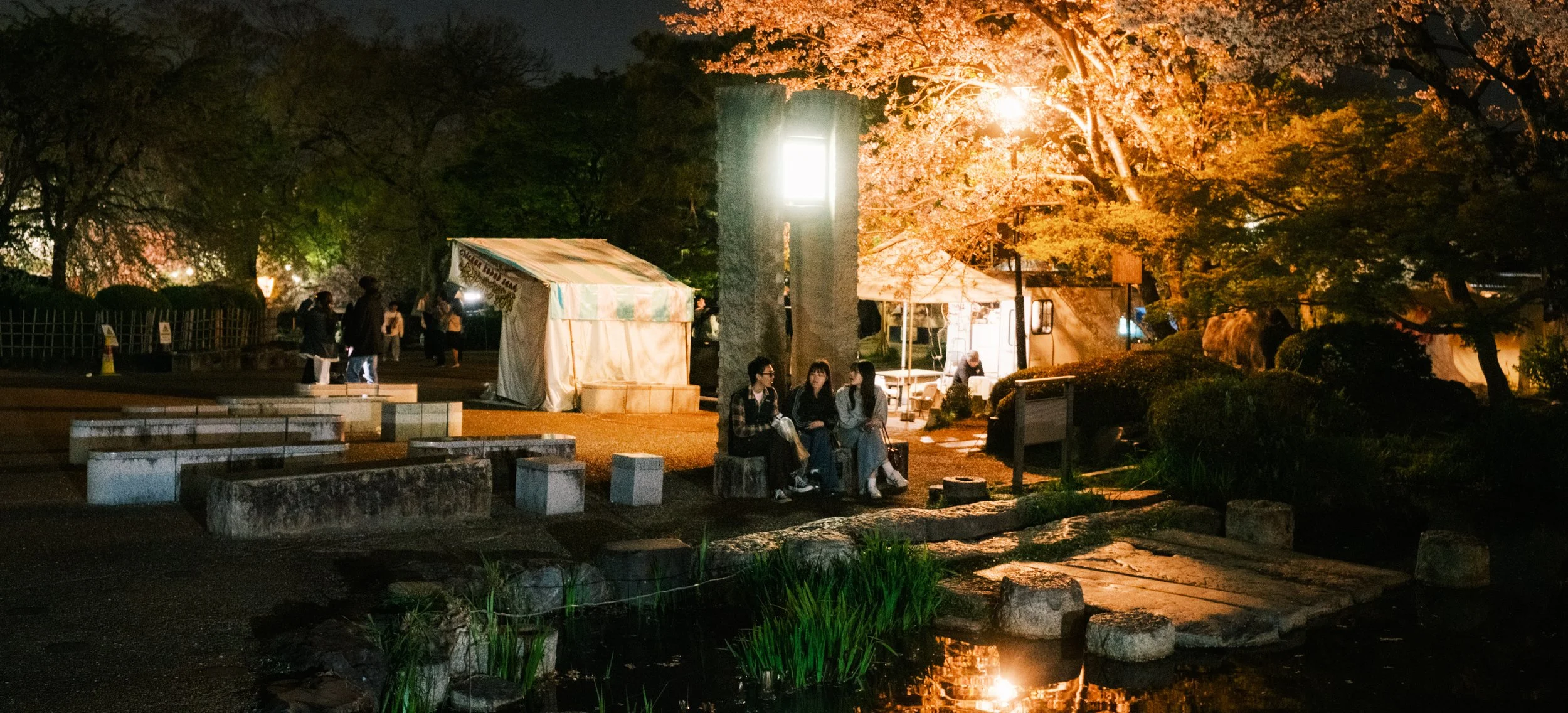 Hanami-9808.jpg