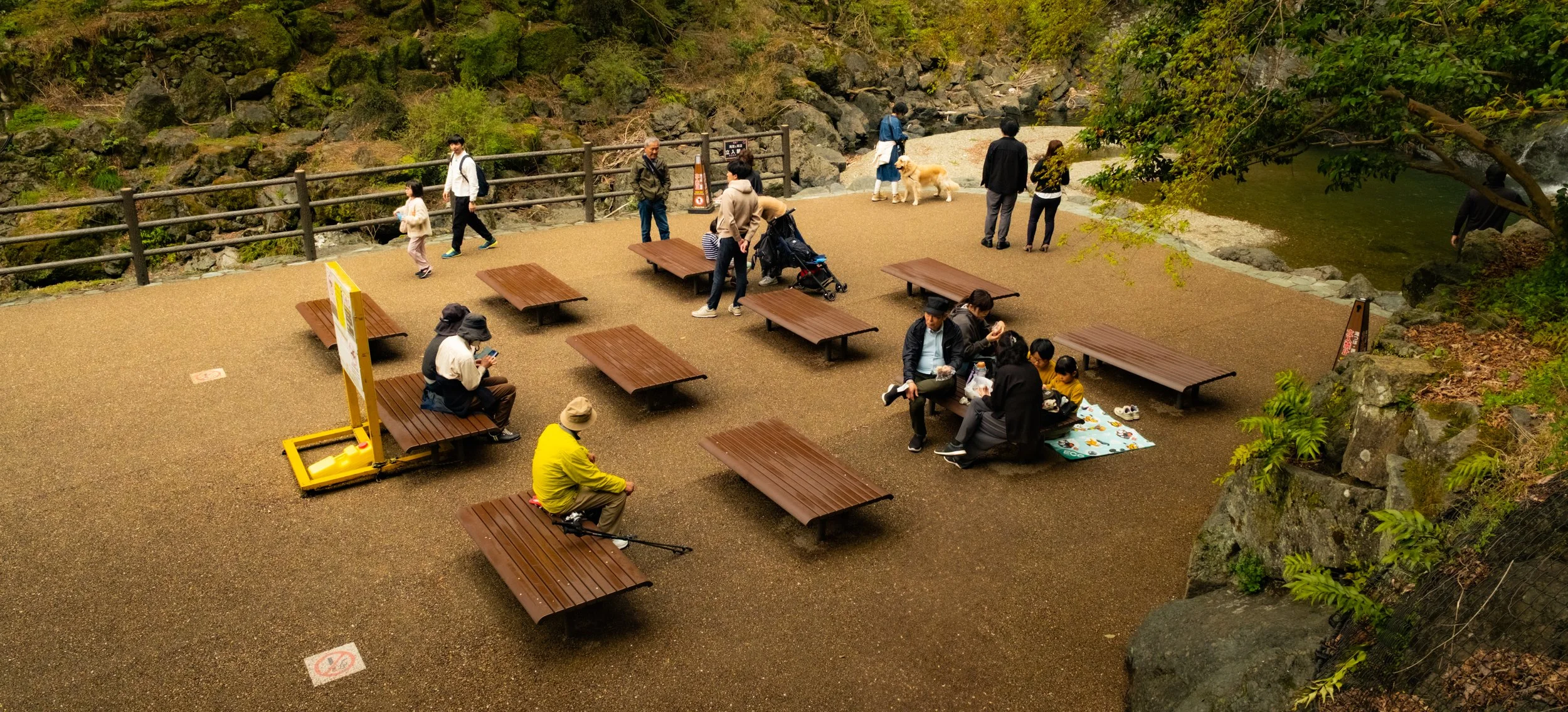 Hanami-6021.jpg