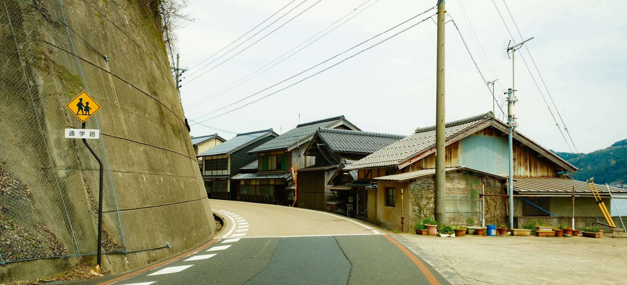 Hanami-8936.jpg