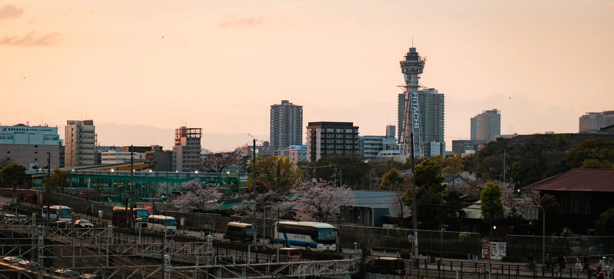 Hanami-6433.jpg