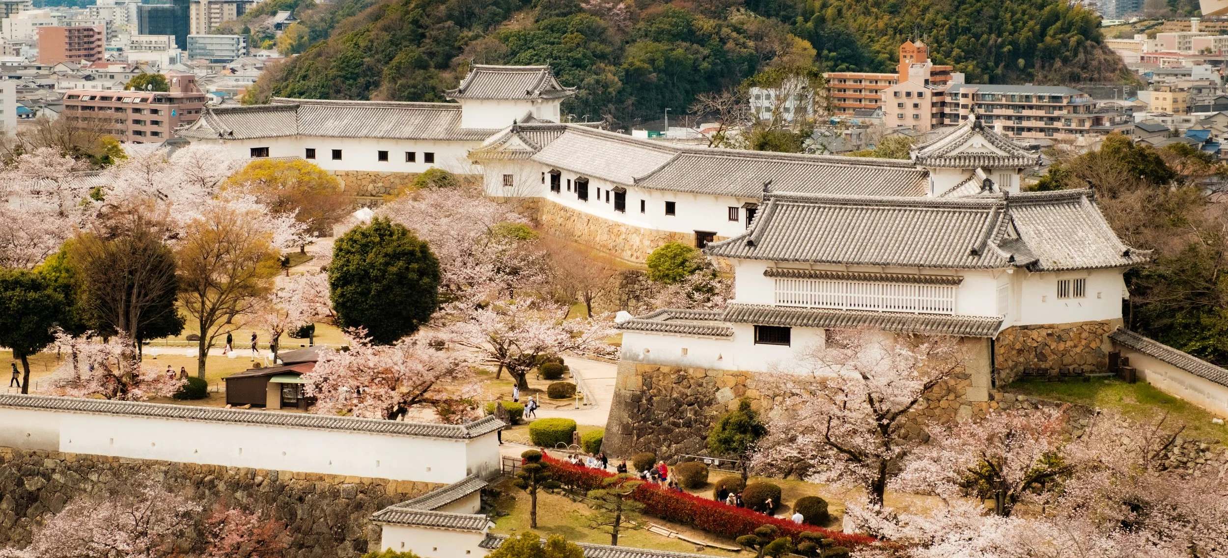 Hanami-5401.jpg