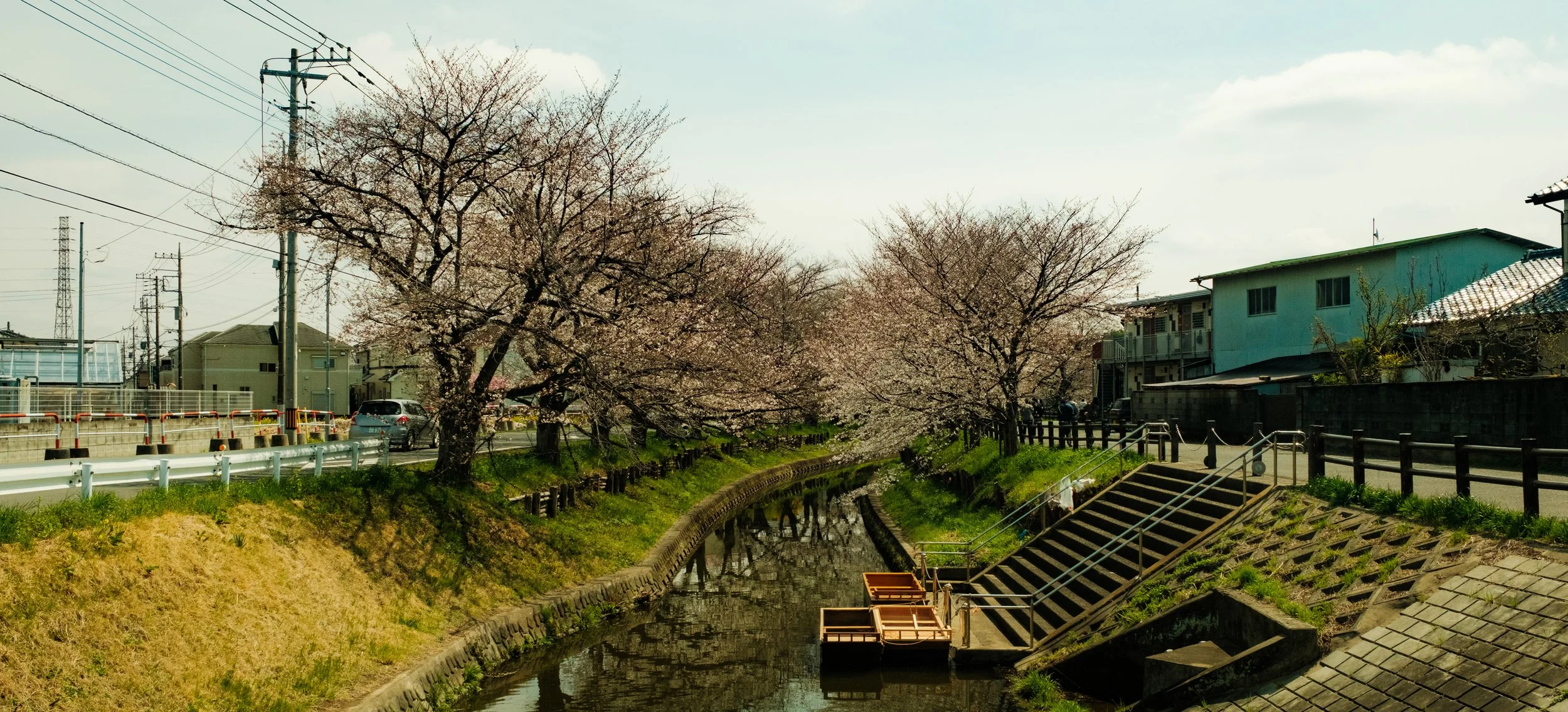 Hanami-1864.jpg