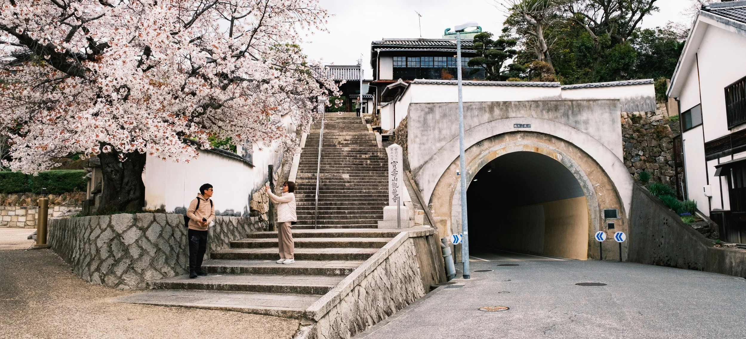 Hanami-4151.jpg