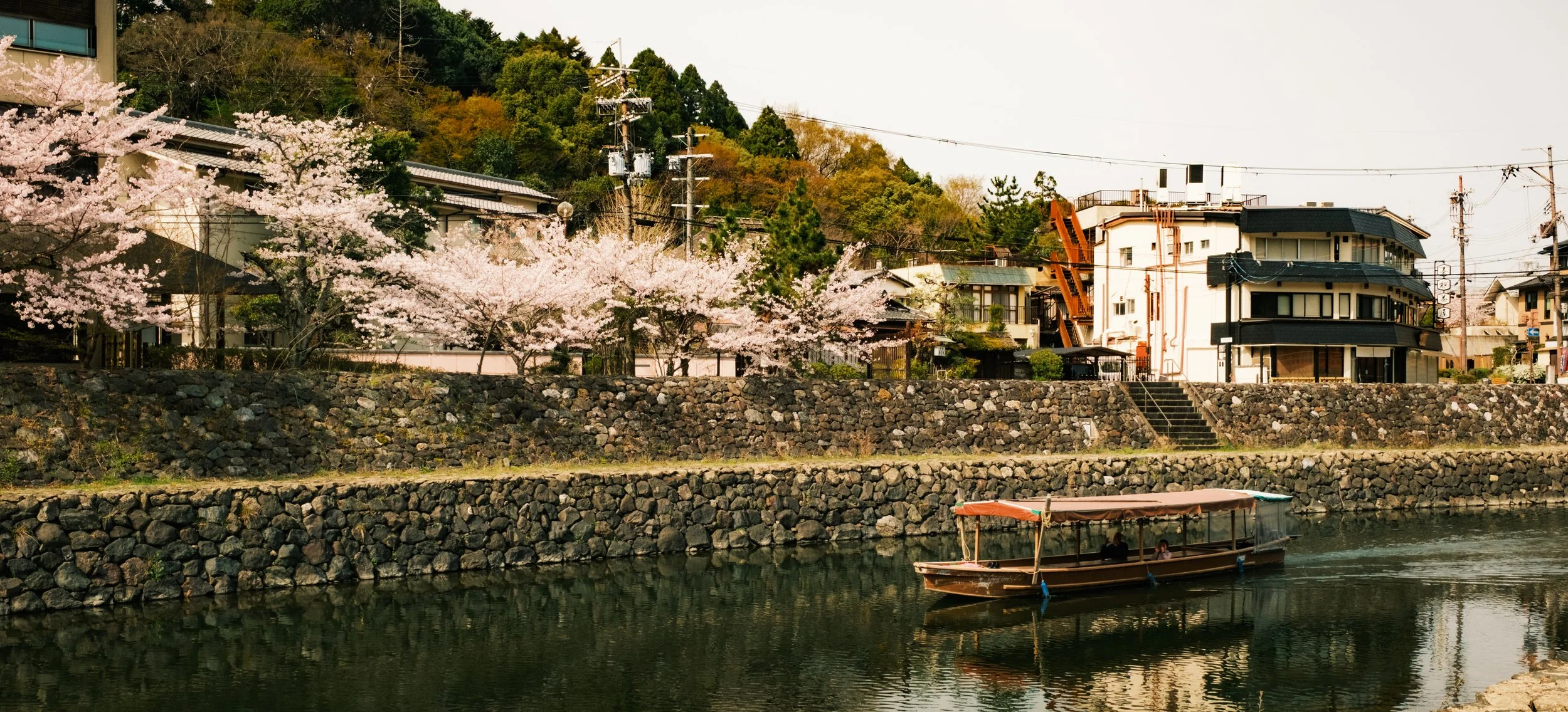 Hanami-7509.jpg