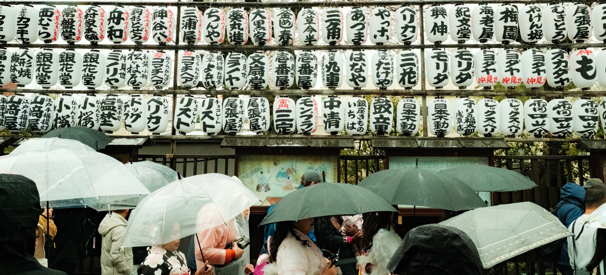 Hanami-1072.jpg