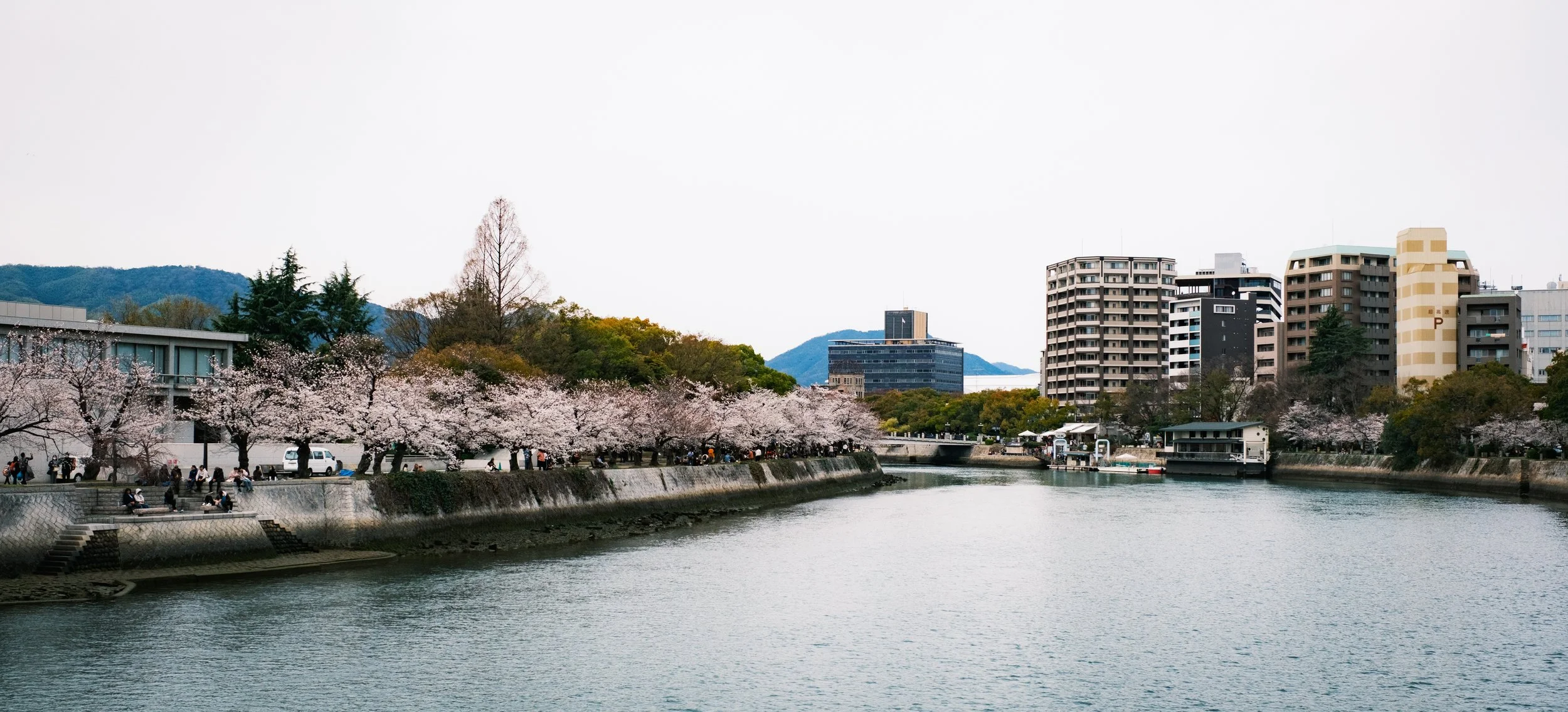 Hanami-3031.jpg