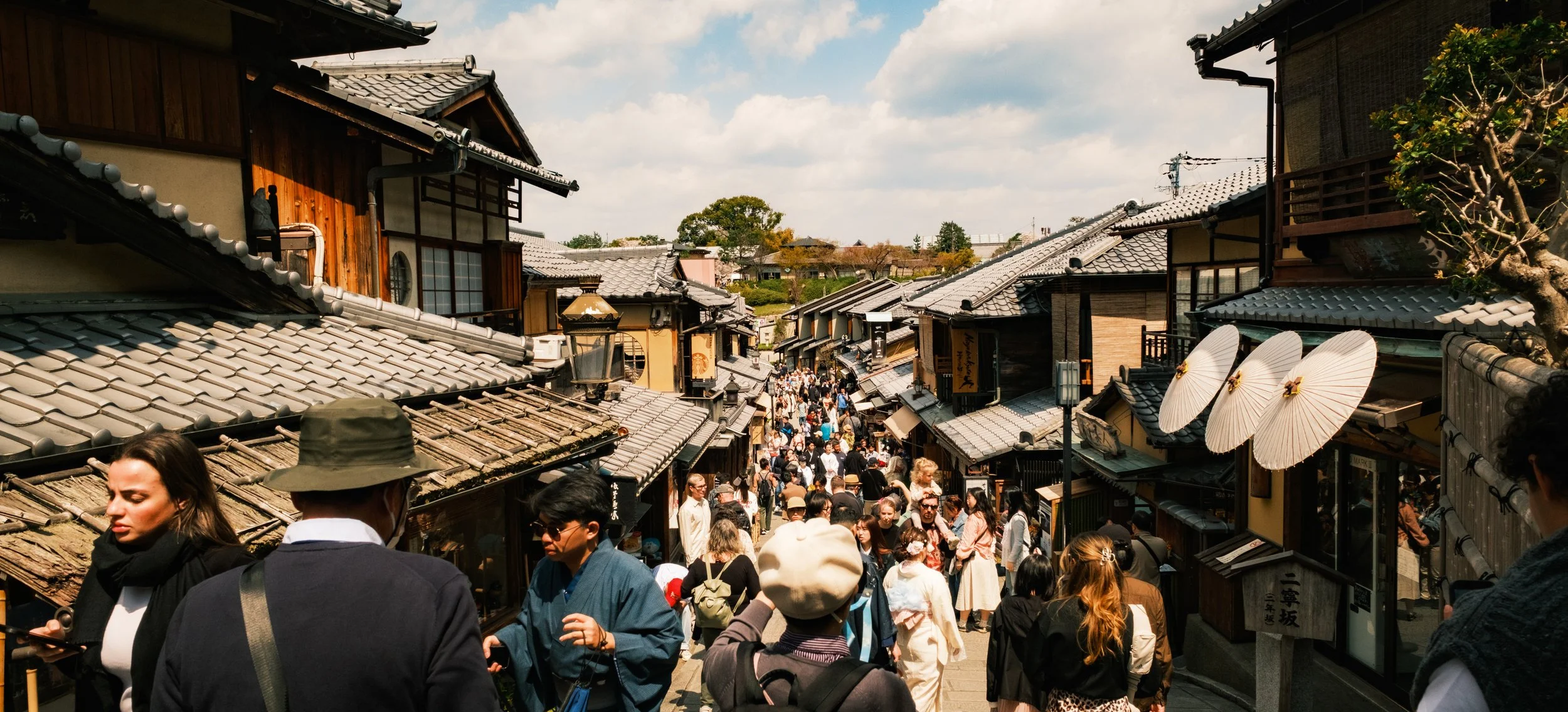 Hanami-6866.jpg