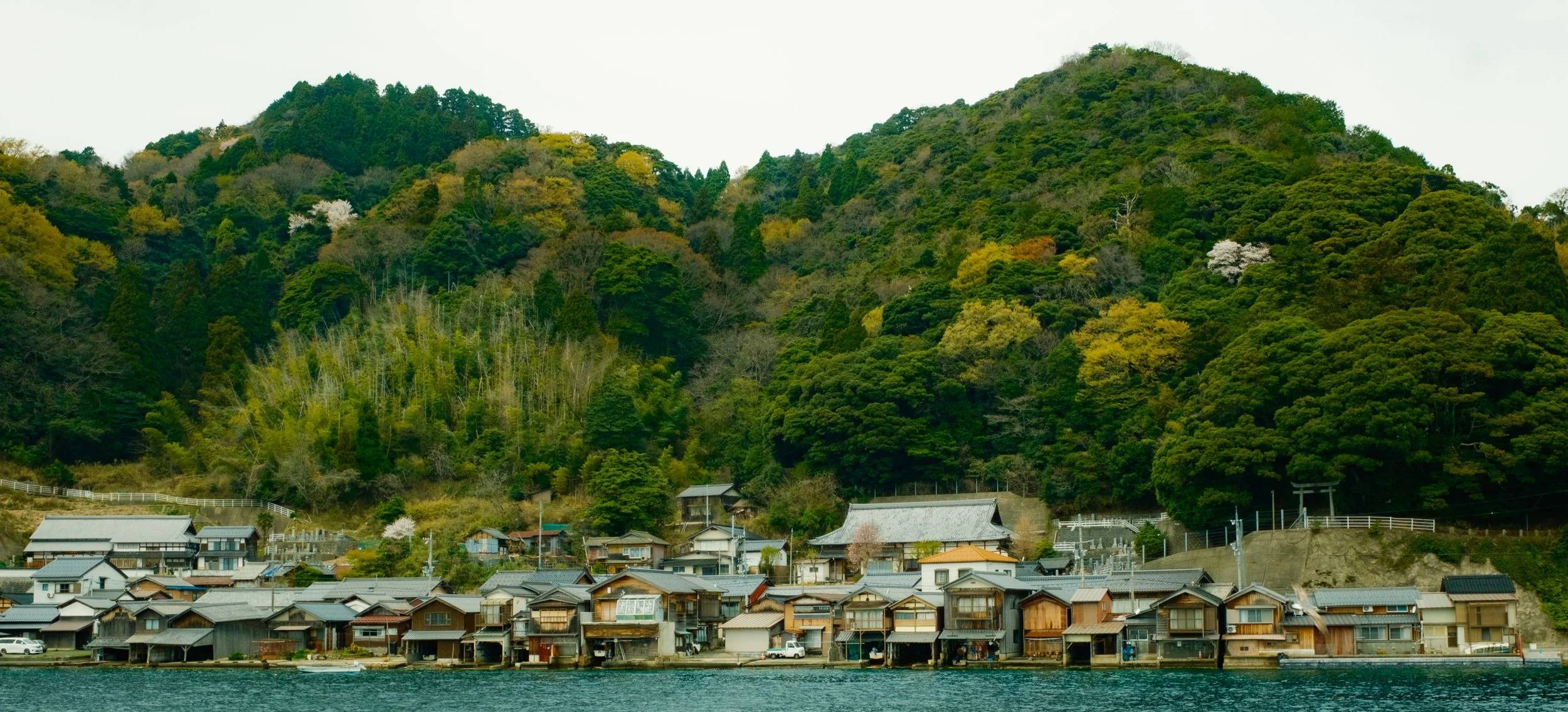 Hanami-8831.jpg