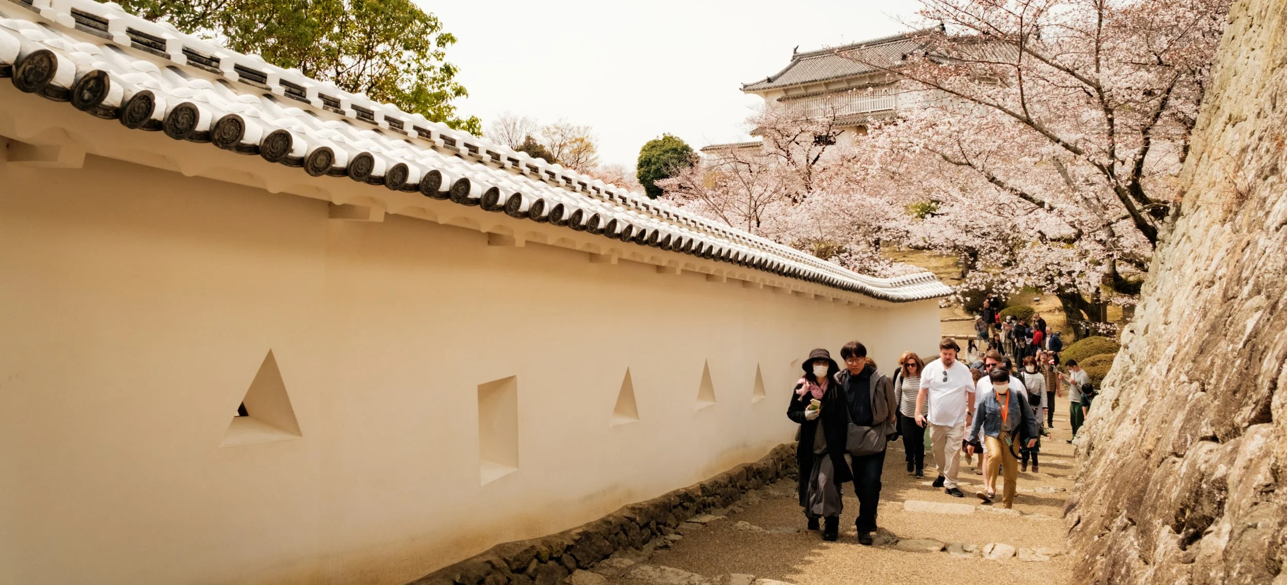Hanami-5374.jpg