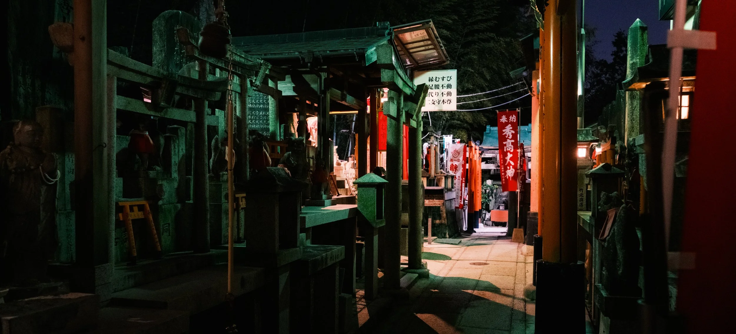 Hanami-8124.jpg