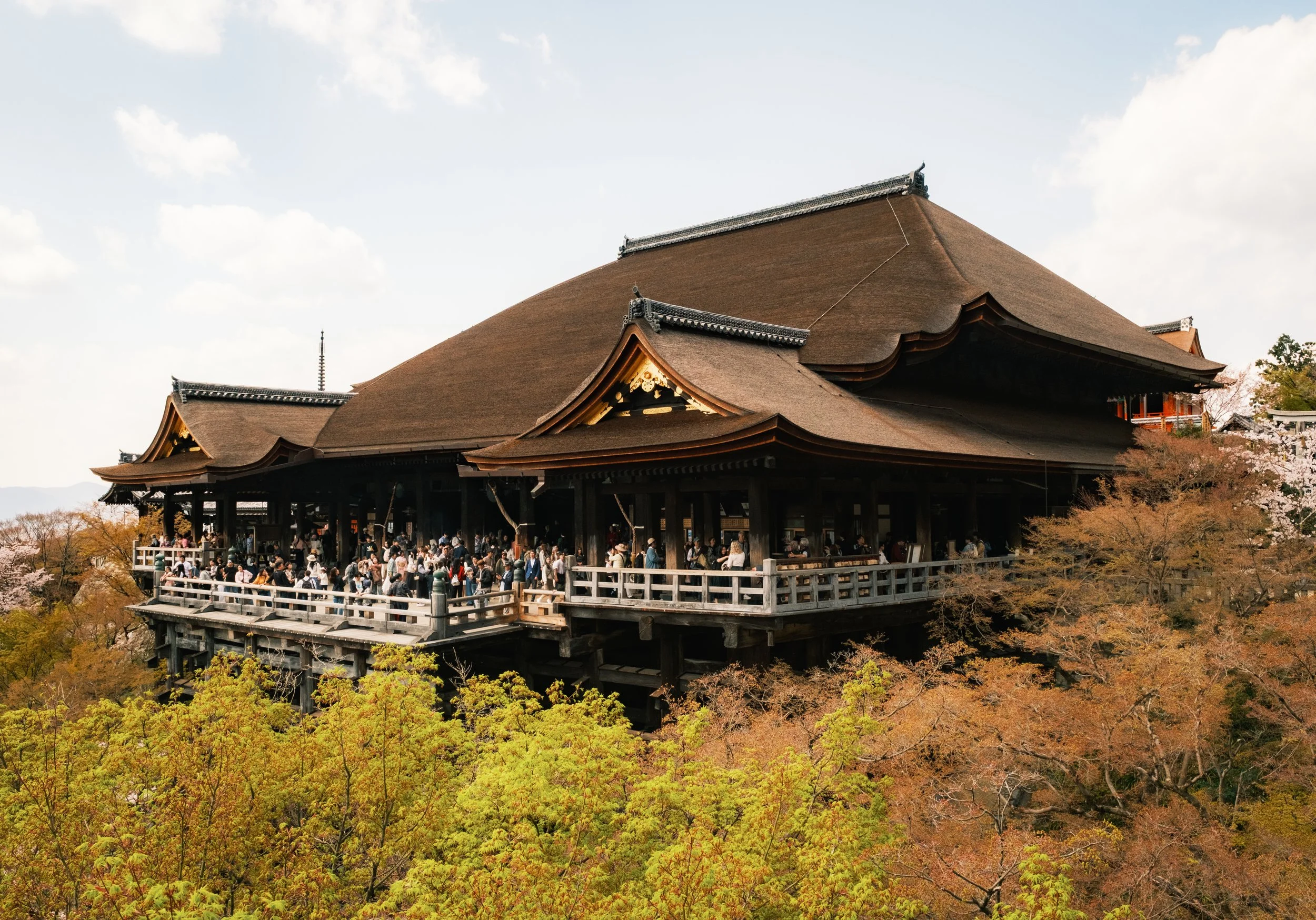 Hanami-7038-1.jpg