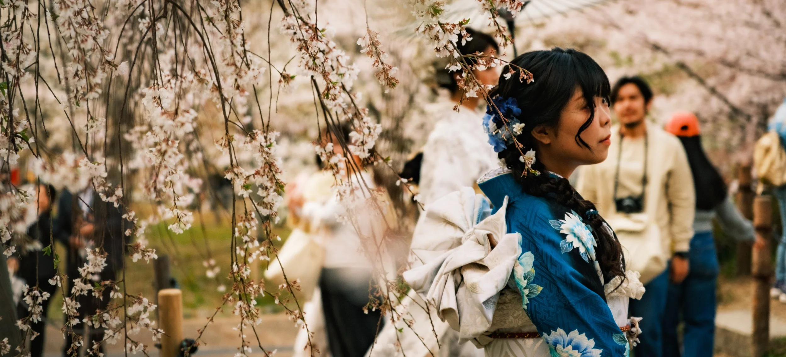 Hanami-7212.jpg