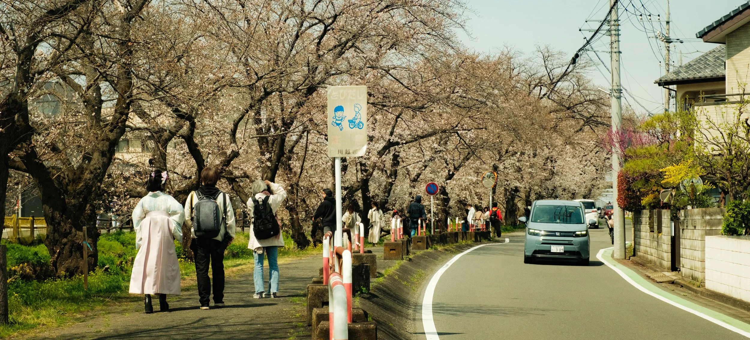 Hanami-1877.jpg