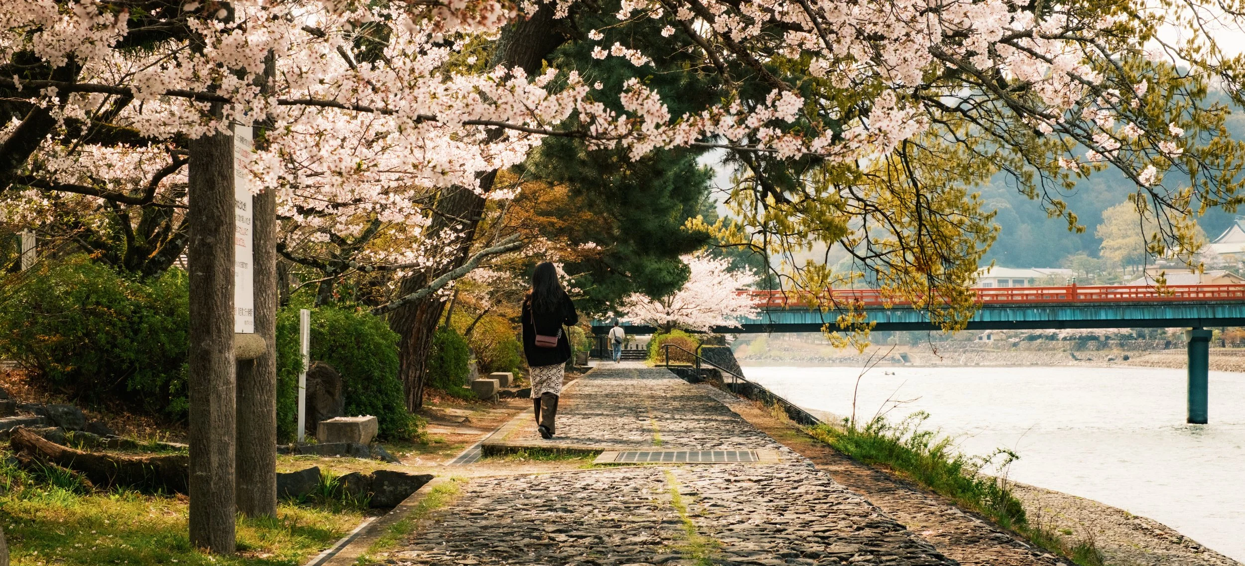 Hanami-7446.jpg