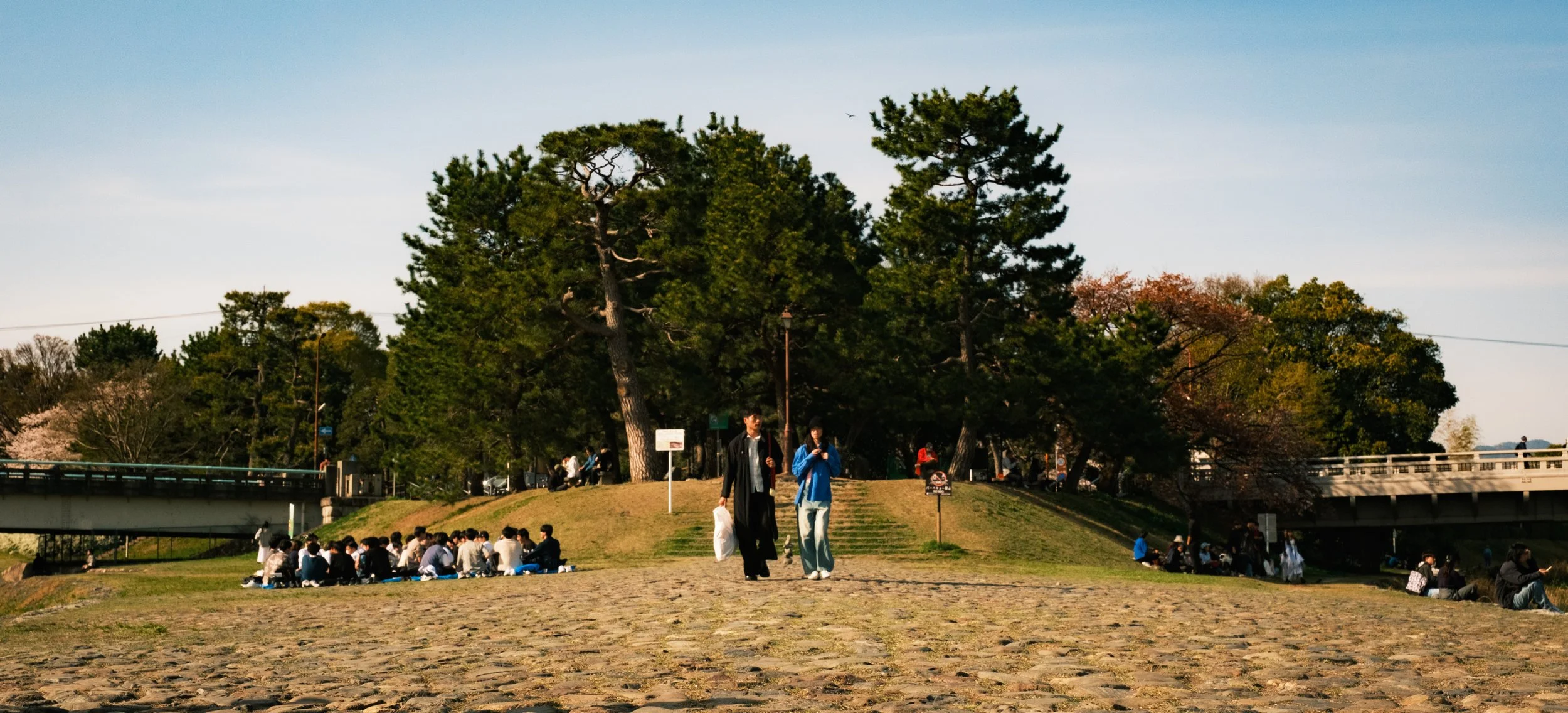 Hanami-8406.jpg