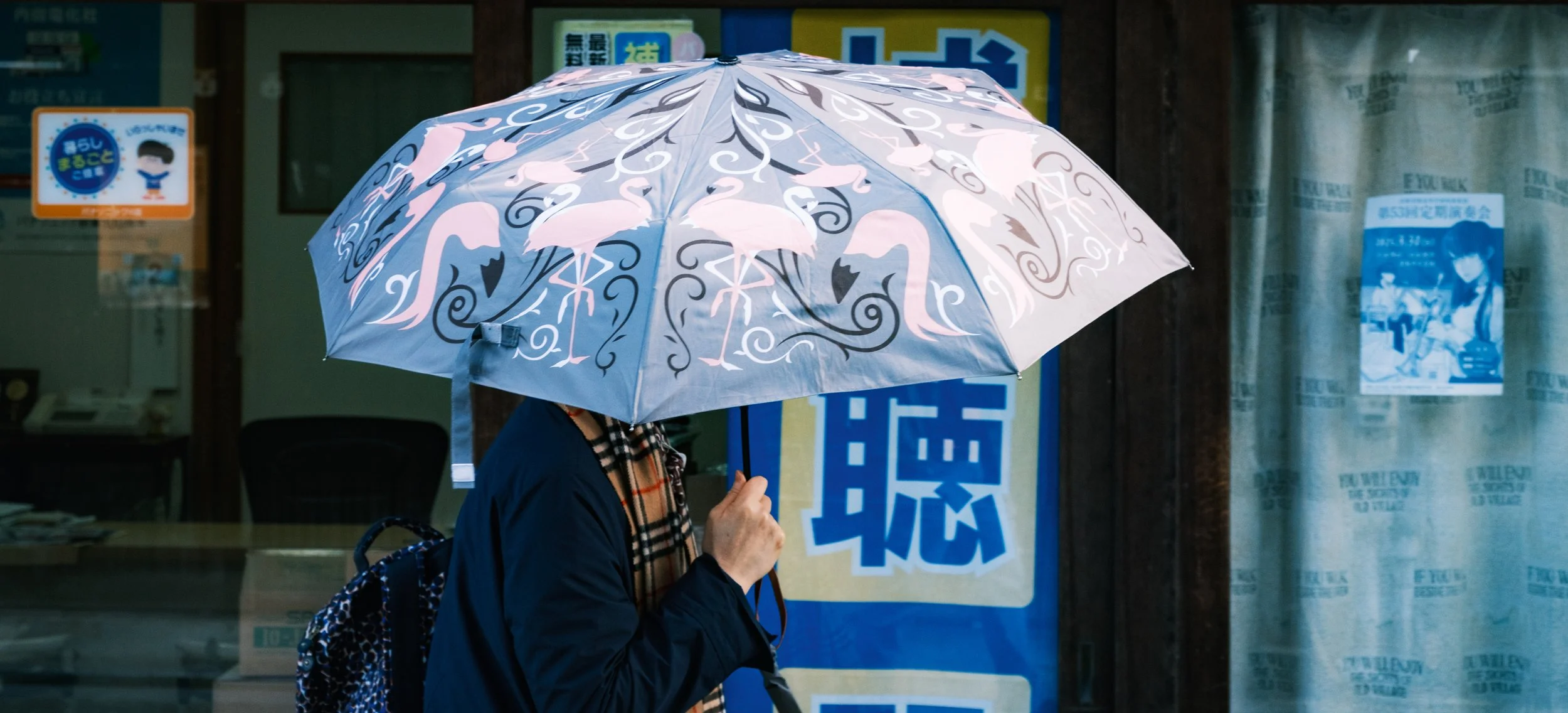 Hanami-4401.jpg