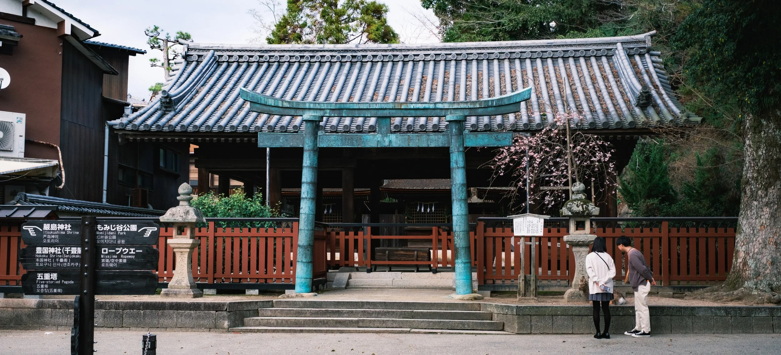 Hanami-3868.jpg