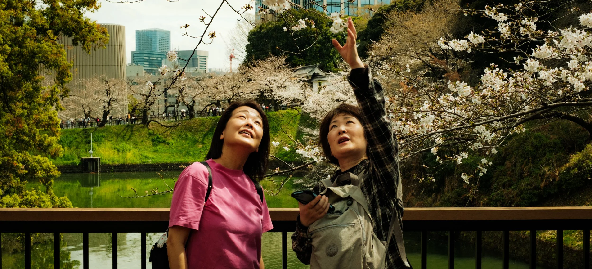 Hanami-306.jpg